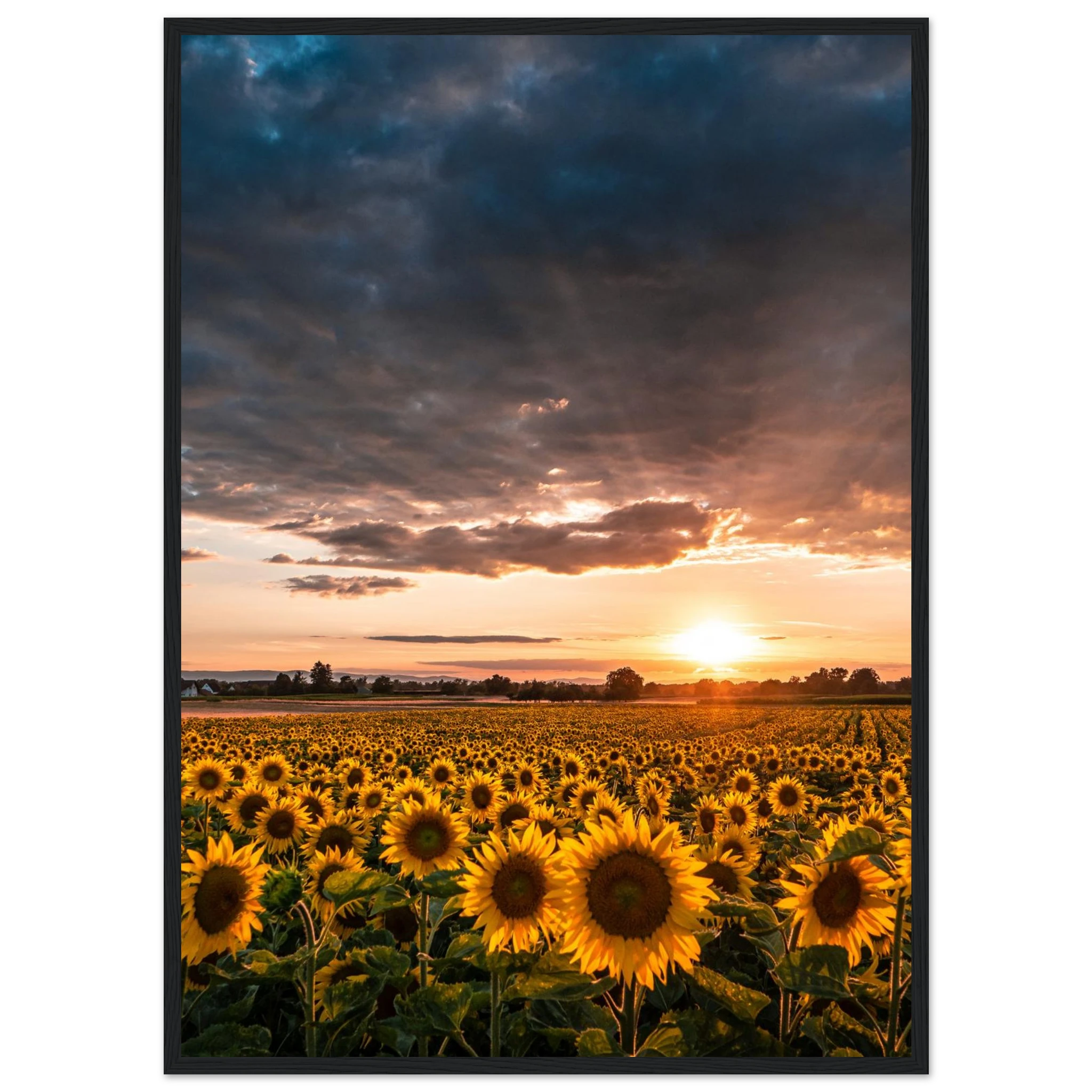 ad254505-a0c2-4ecf-8cbb-0f381afaf44c