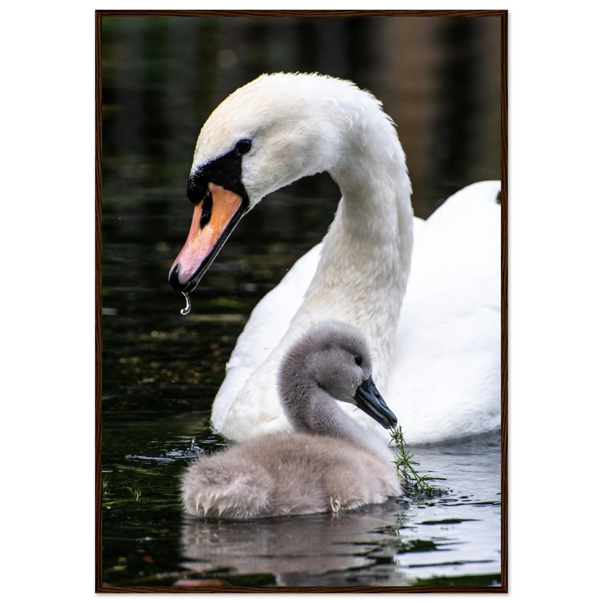 ad2aa4bc-8ea9-47bf-96f8-44a3522d9ec6