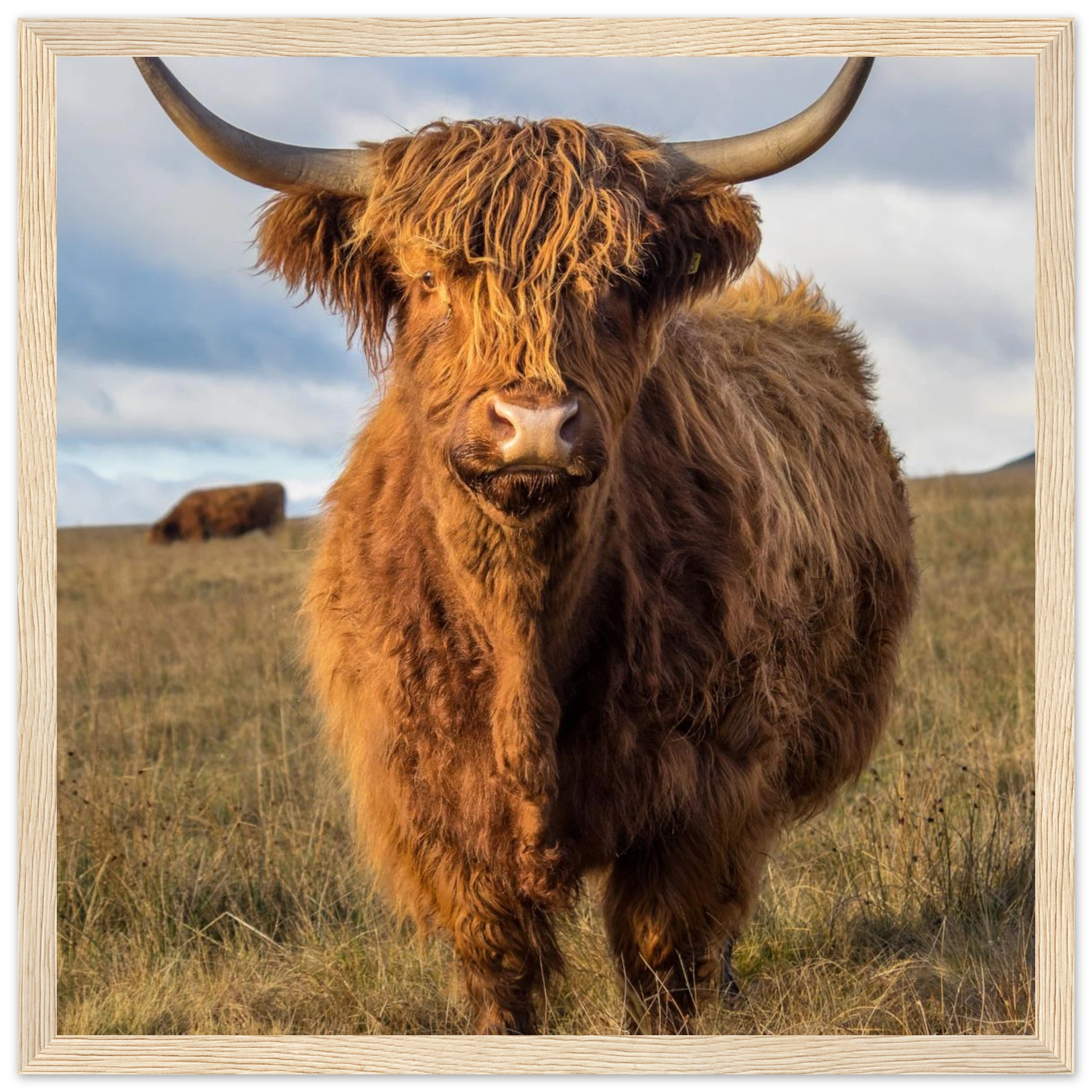 ad397689-ddf5-4be7-a994-768a4a80667a