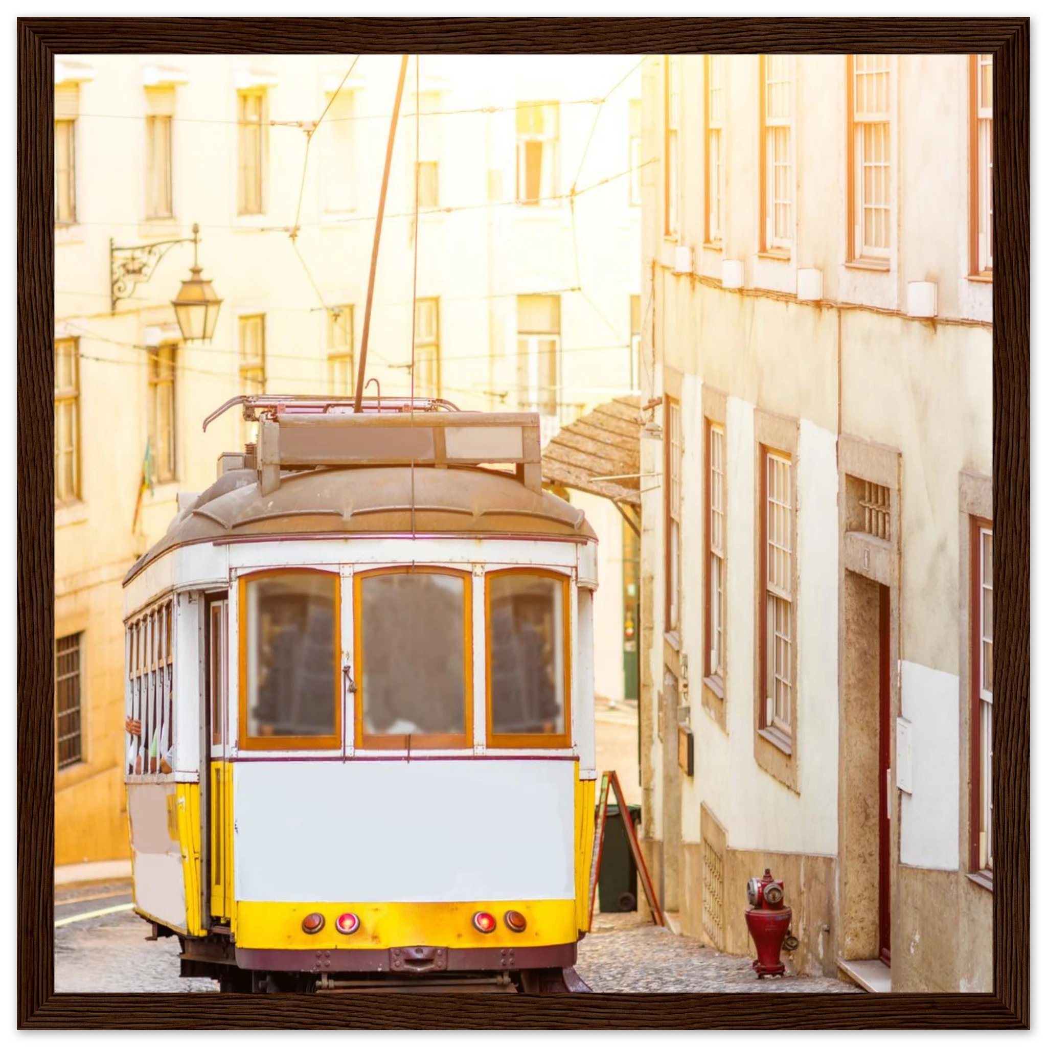 ad522a86-9e27-432b-a25e-36554cfff1de