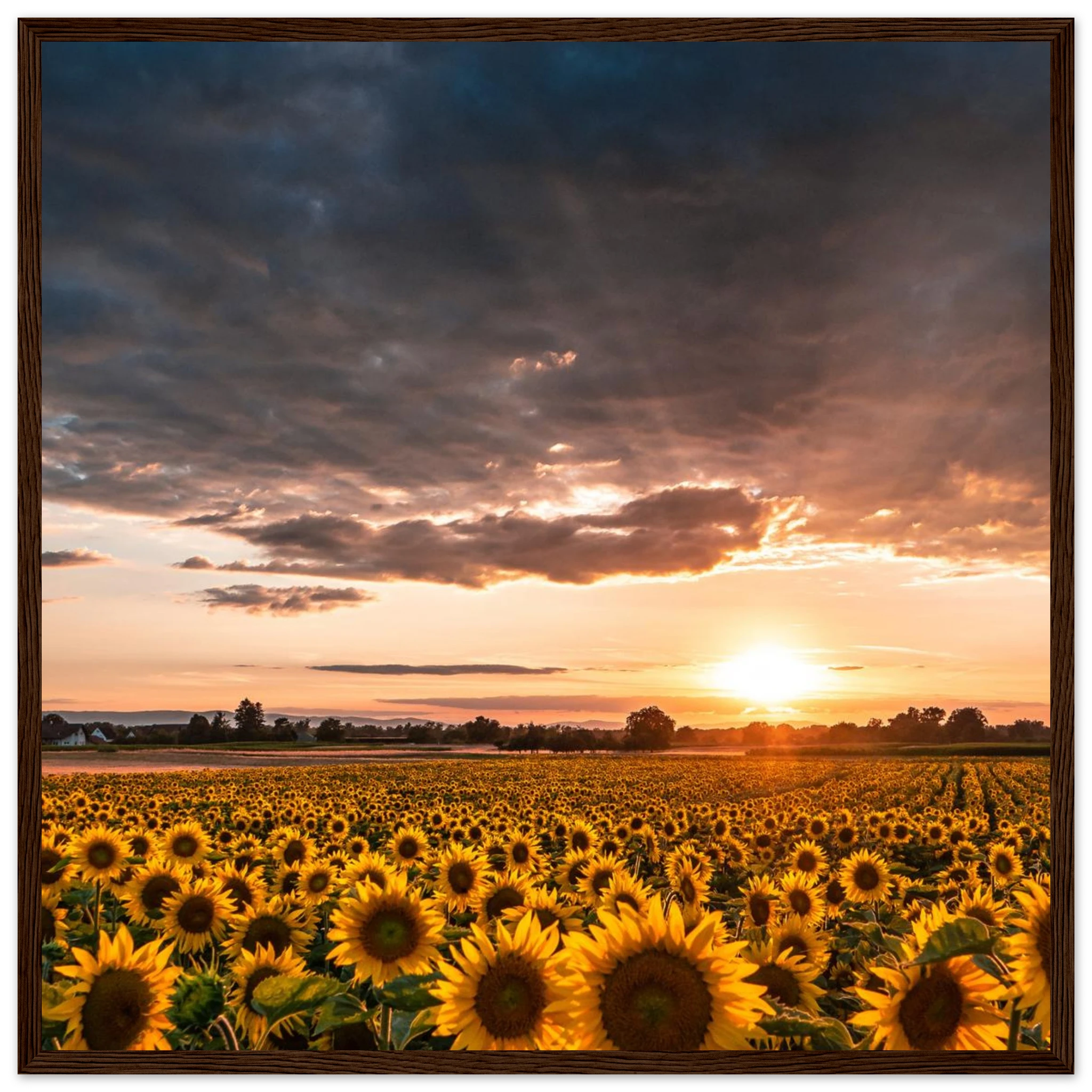 ad5256e6-30d7-44c1-ac68-67588c71b001