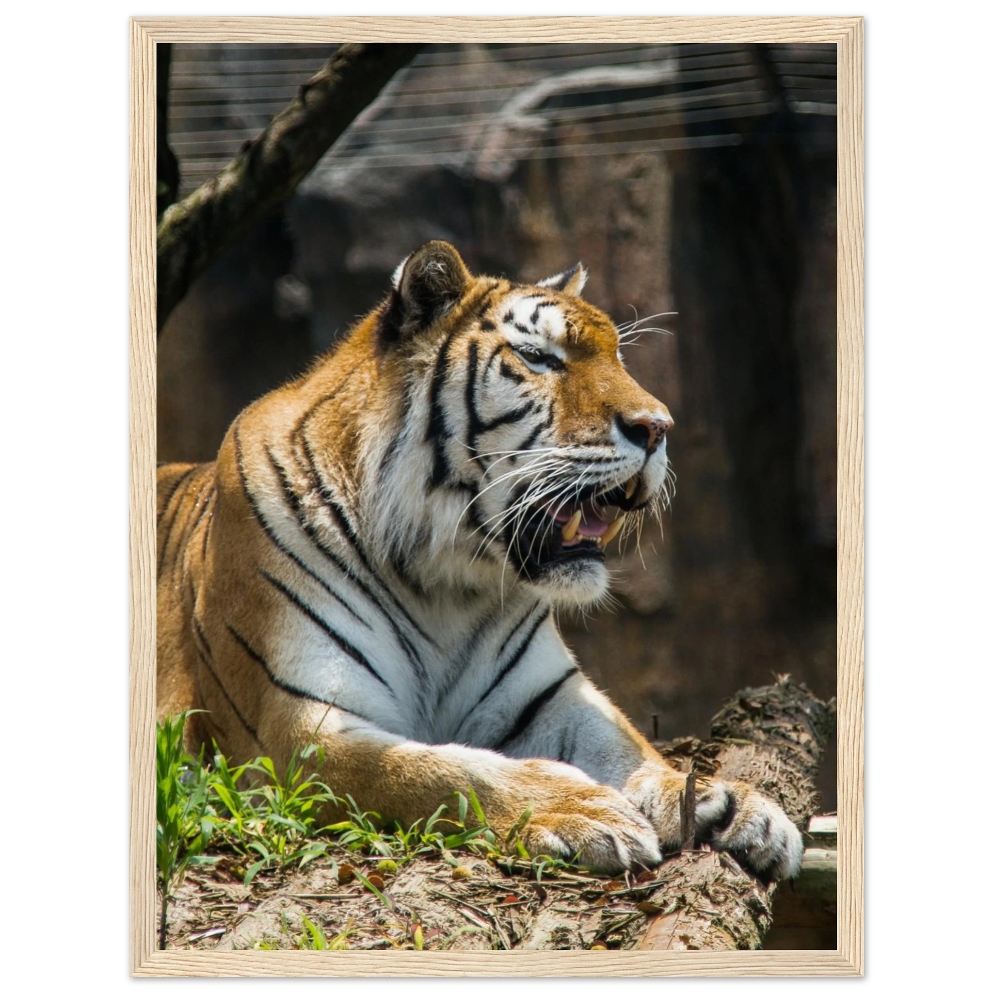 ad8ab014-ce28-48d9-b47c-3cefcc0babb3