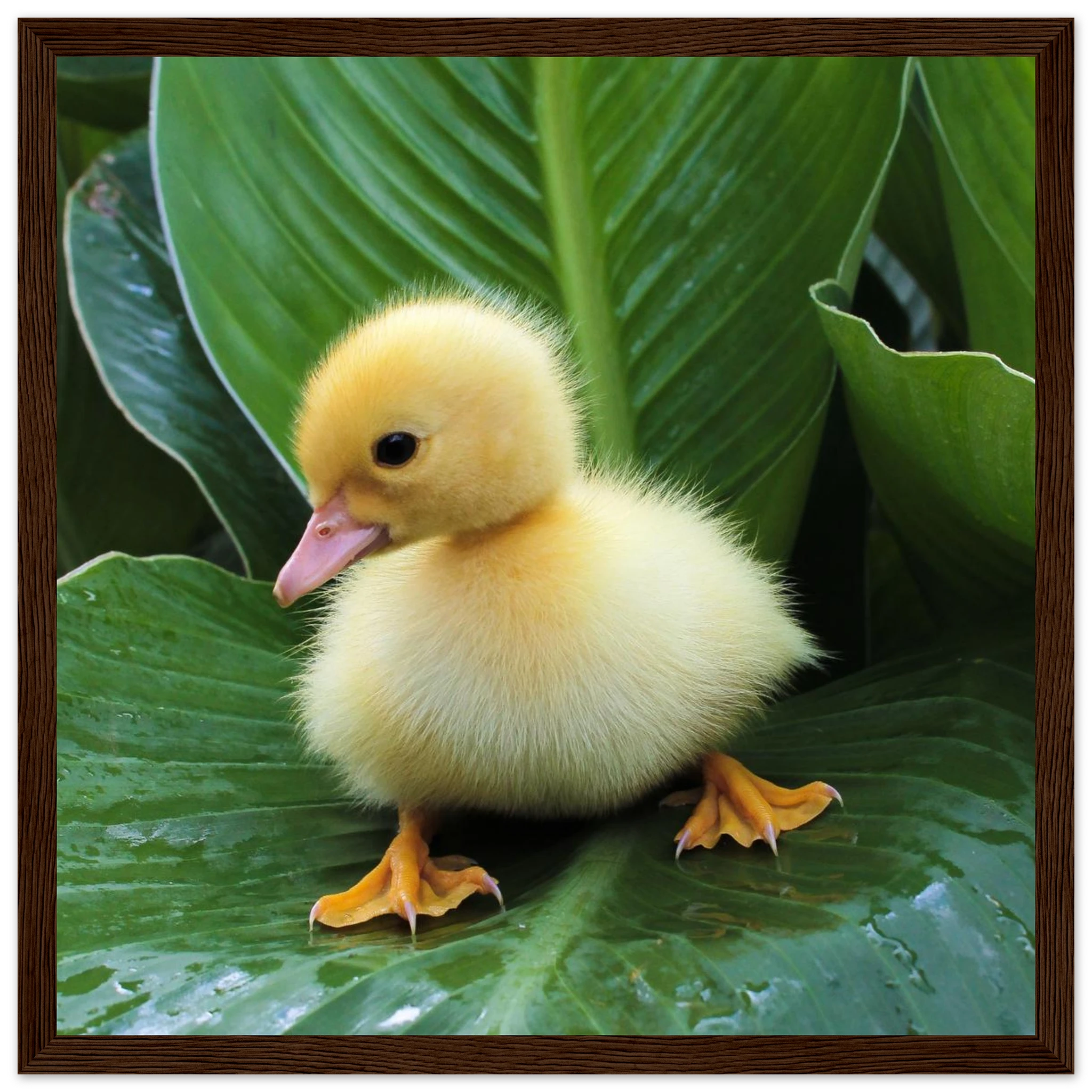 ad8edef3-70b2-4c35-817f-a42bd2dd2df6