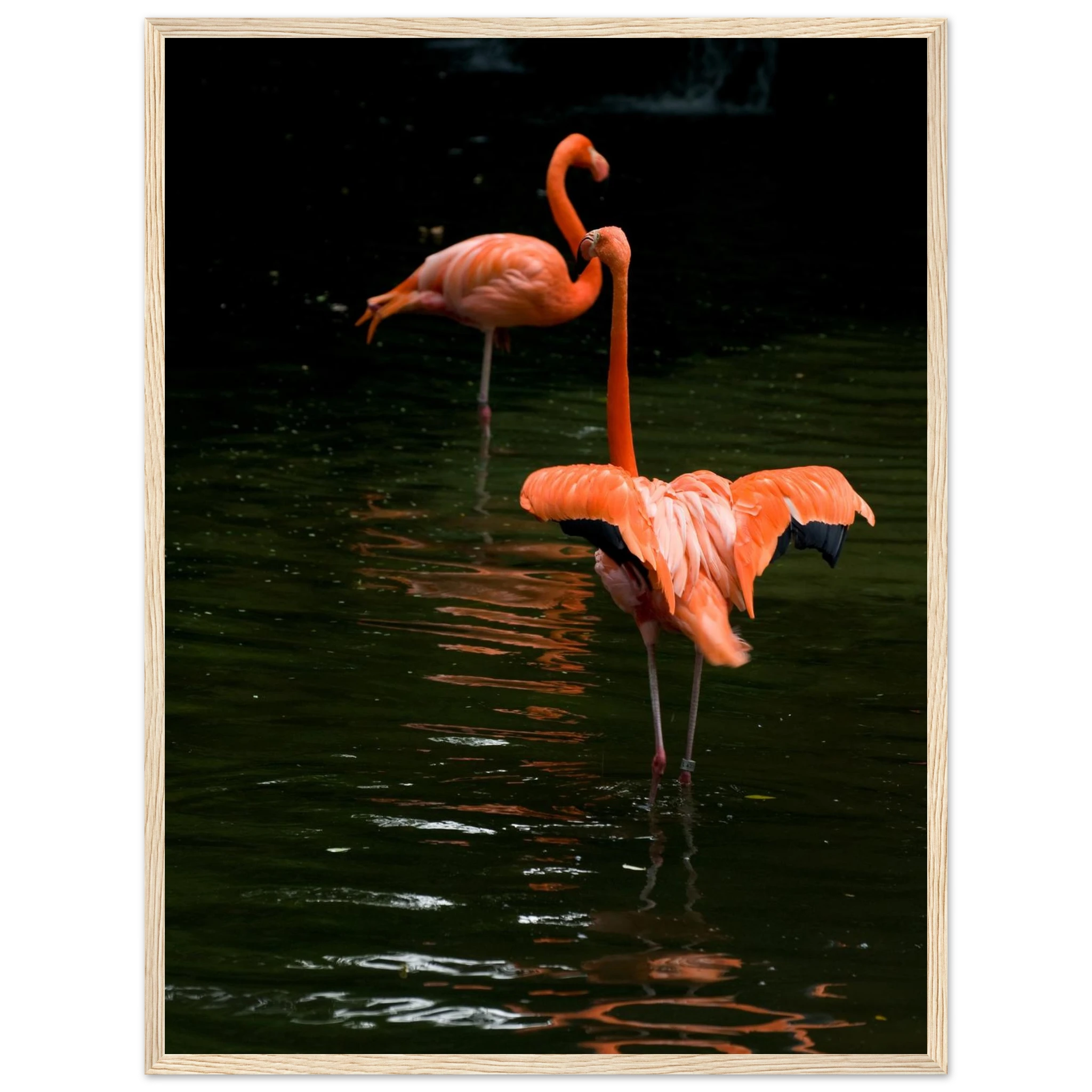 ada7a7f5-162b-45f1-8a7d-e4c48b2cd744