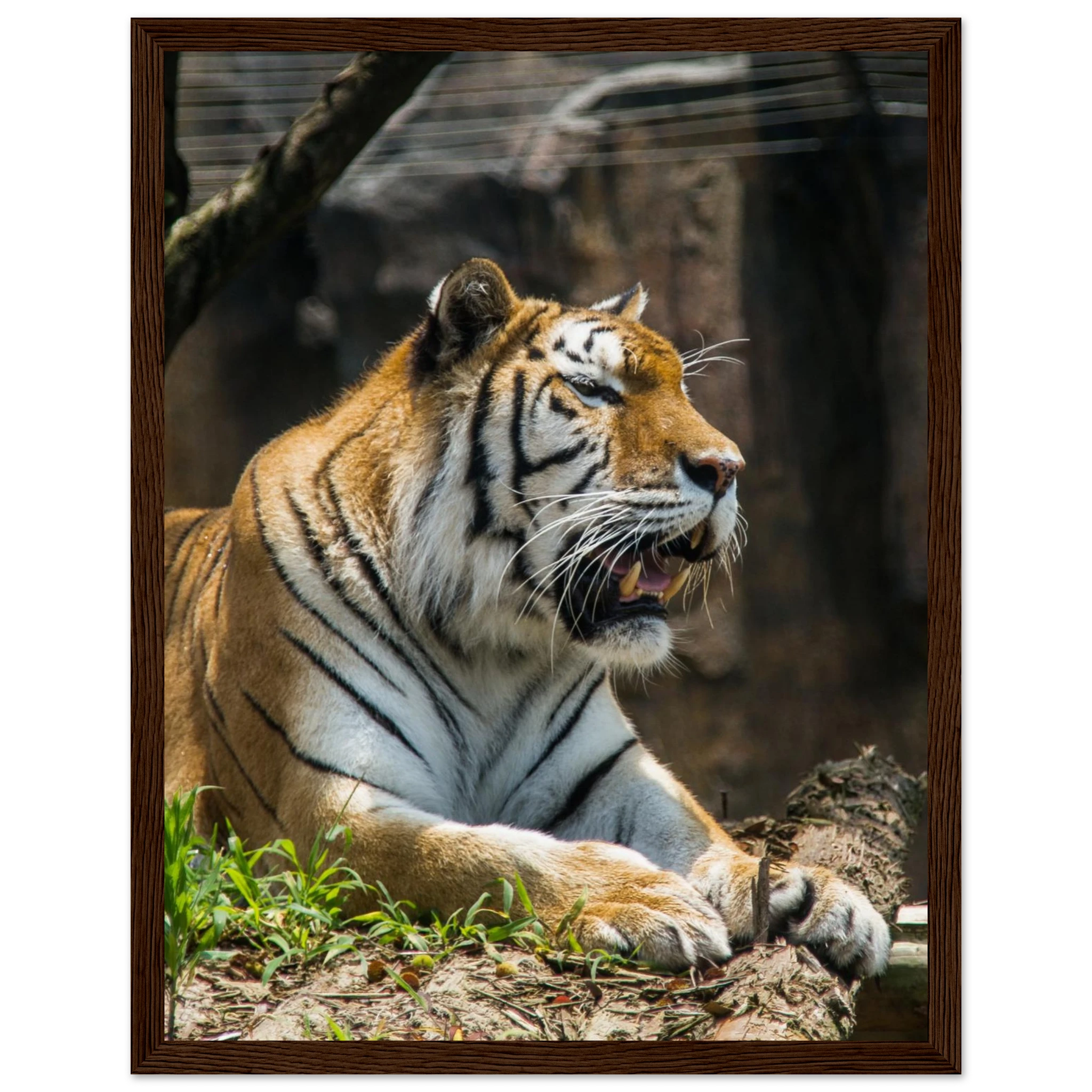 adb3a9ab-3e7e-4c50-bfc3-e9ffa90a474a