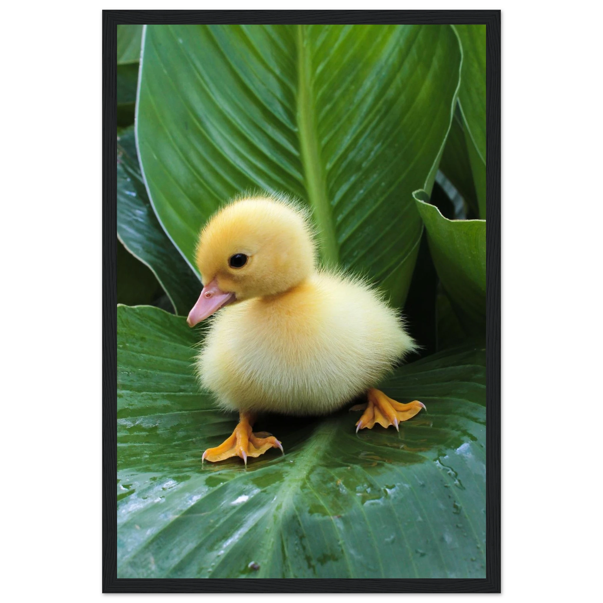 adbf9f28-dc8a-4c44-858b-c8d4adcc5bec