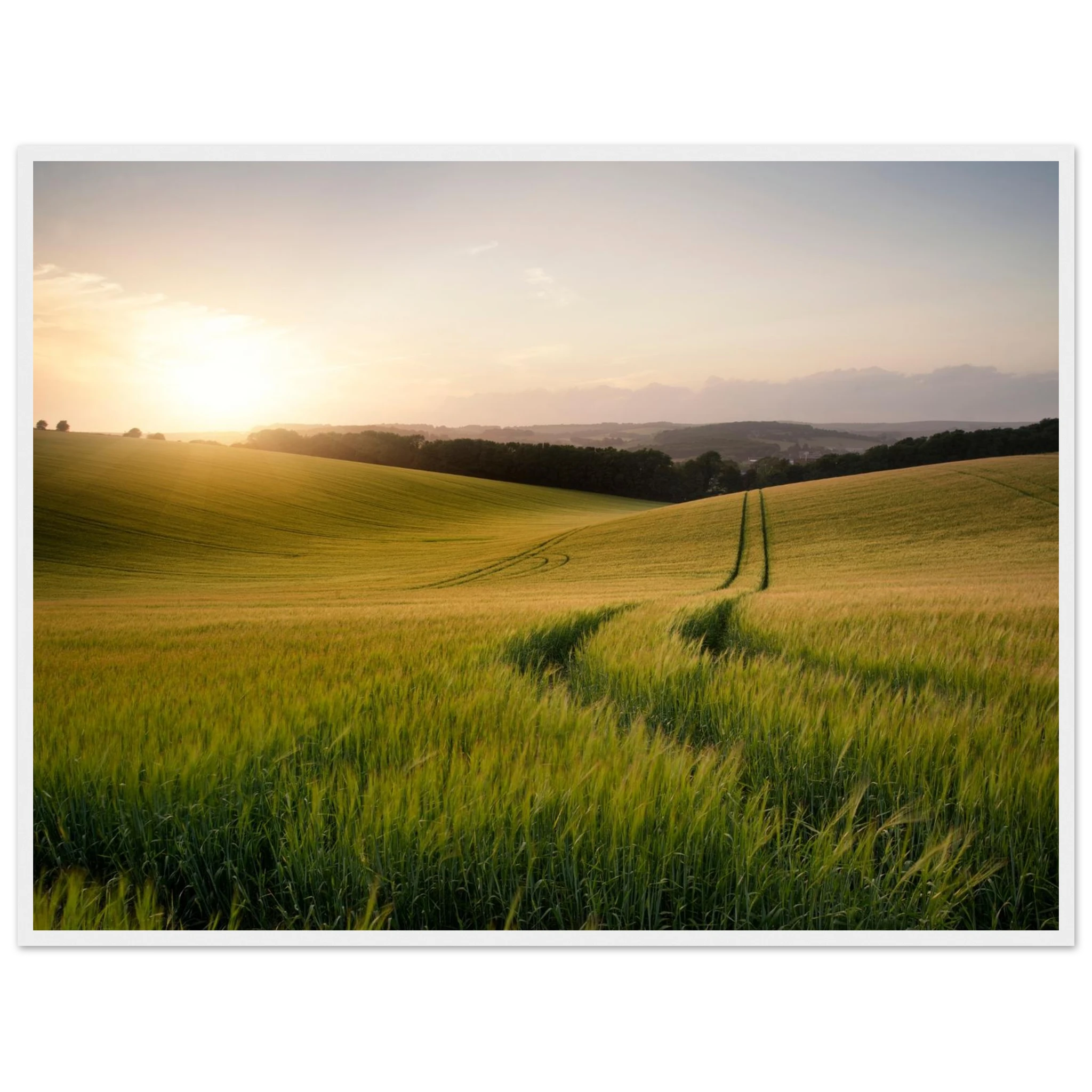 adc6e391-daff-413a-b90c-6c9aa1ba9d47