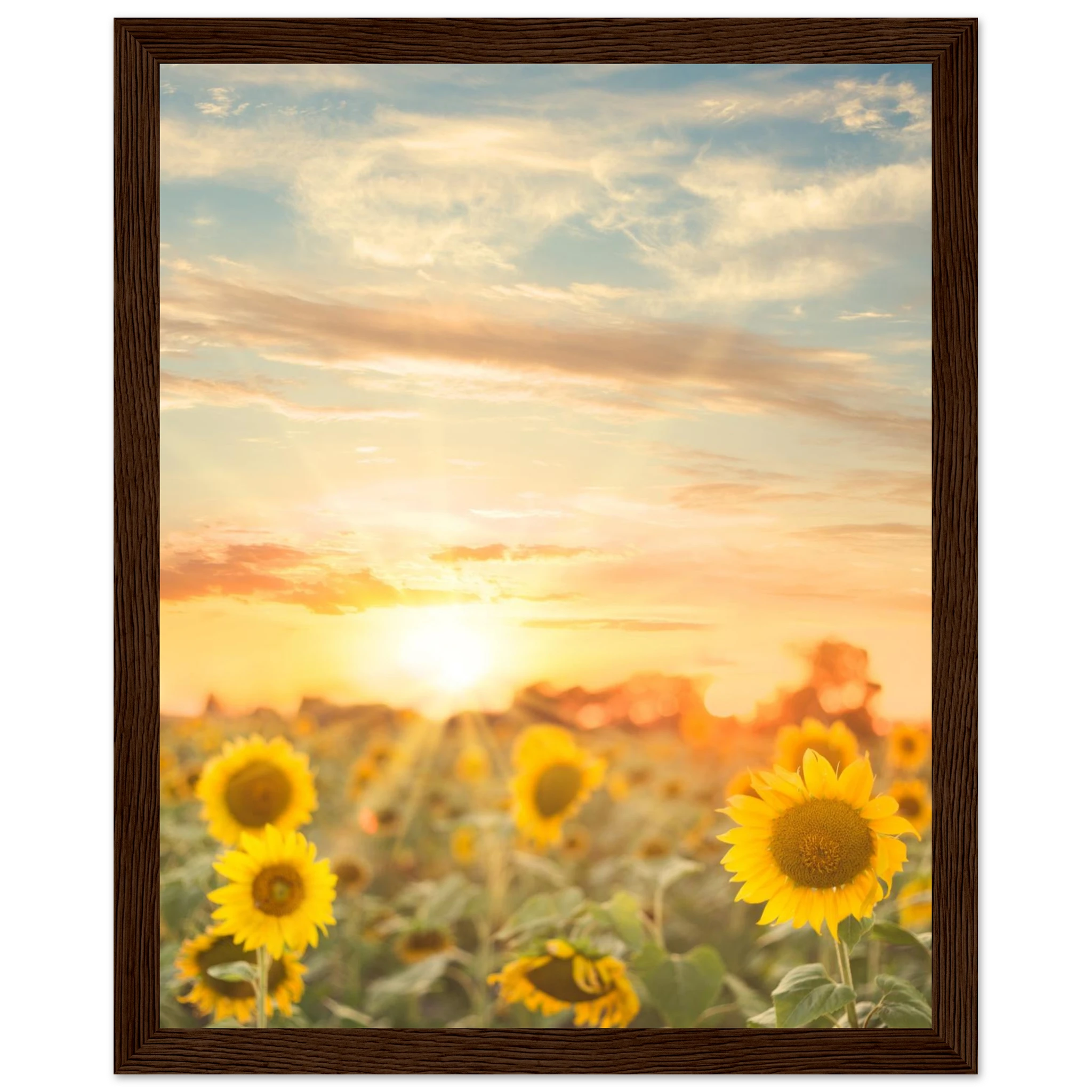 adc8b05f-c969-4107-a6b2-eb855c8e8d31