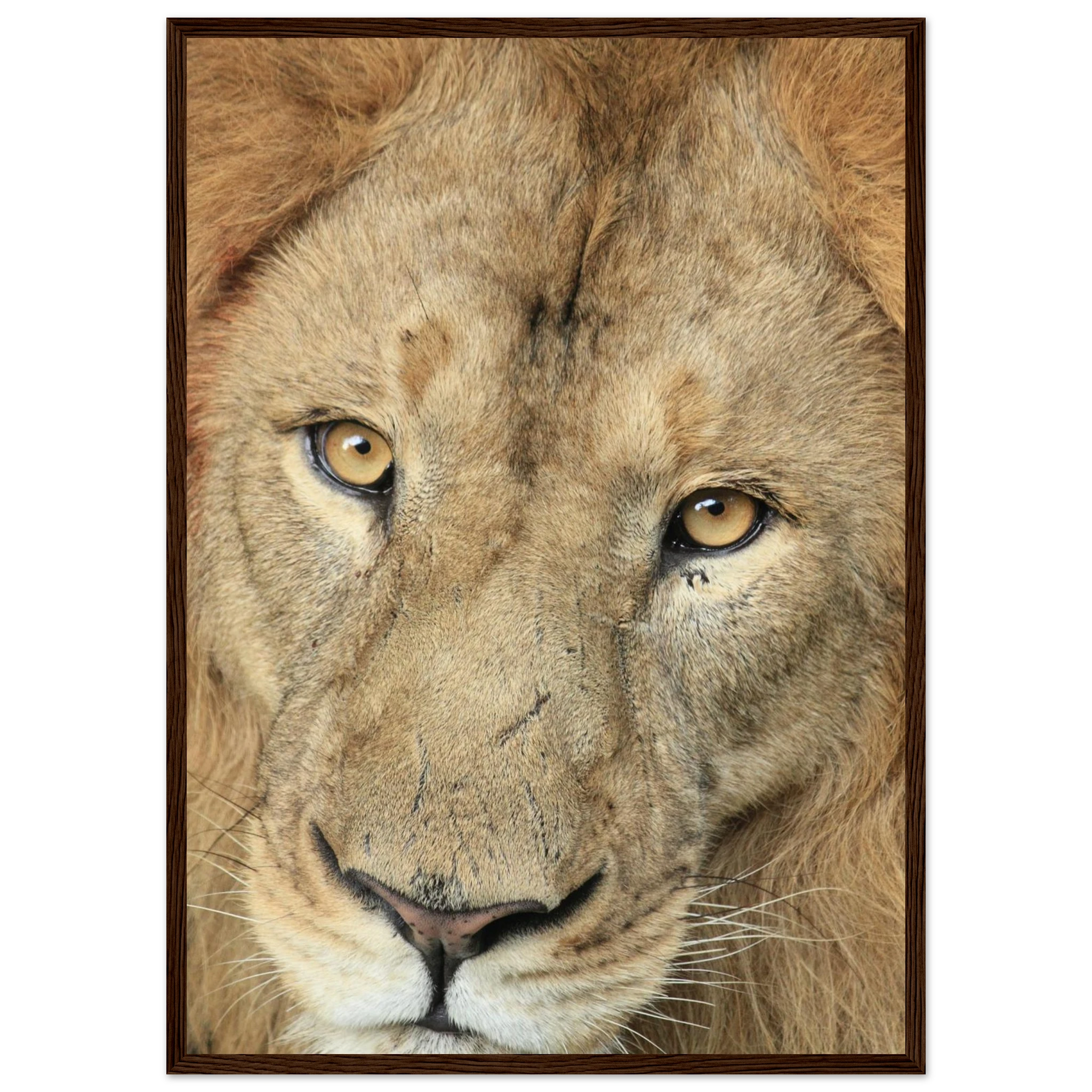 ae071a34-20bf-44ac-8b0c-409e248cd3fc