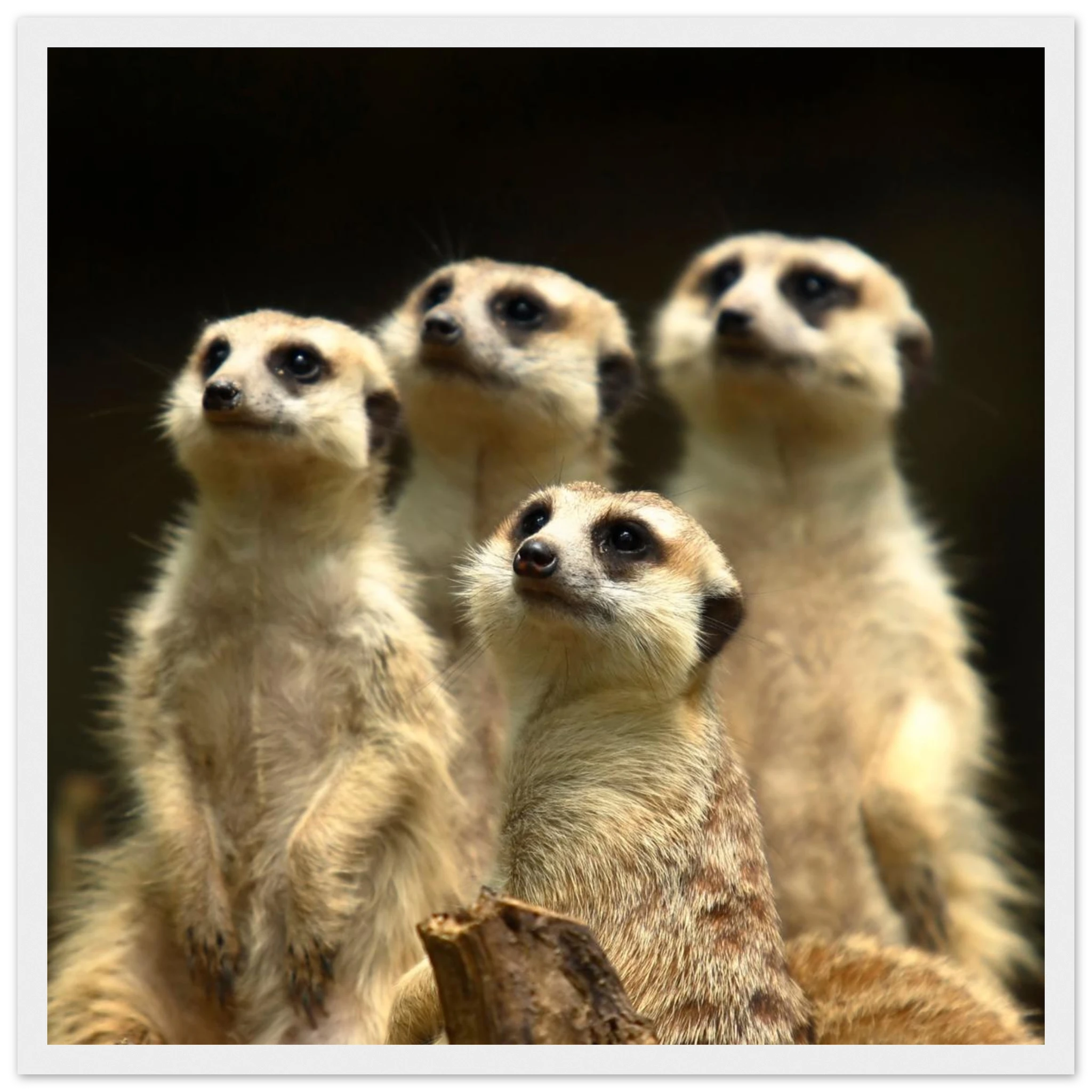 ae1eafaf-0e48-4441-9c07-629798361f8f