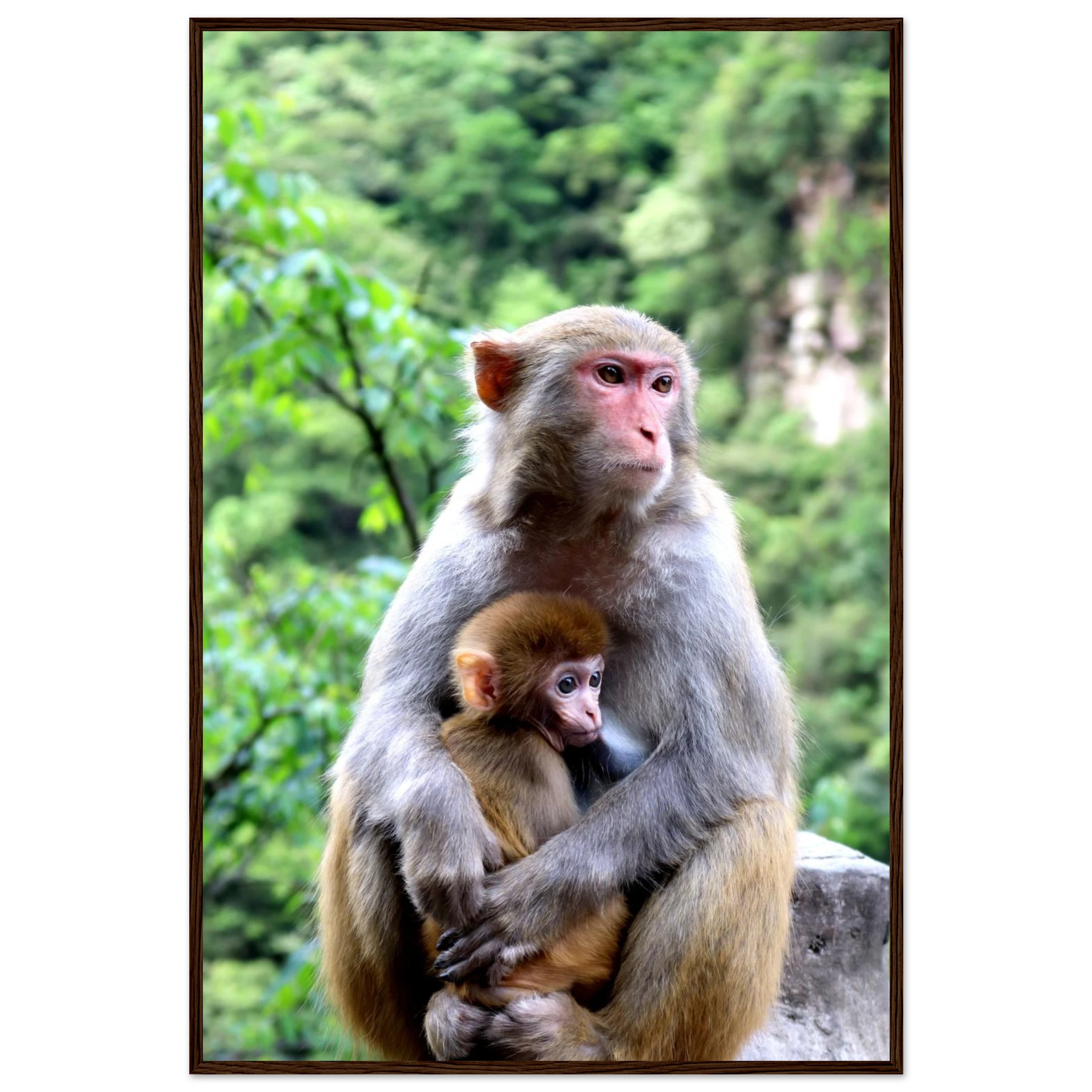 ae3f5822-0654-40fe-98cd-a8d47082912d