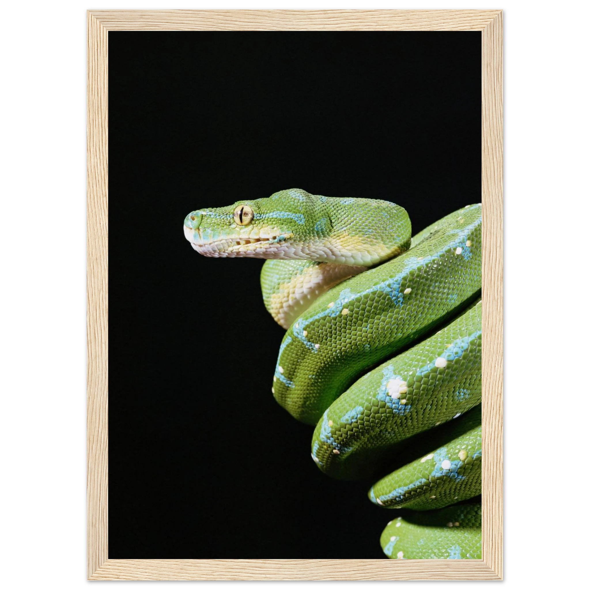 ae47e00a-28e2-4e7c-beaf-a0c4bbb908ec