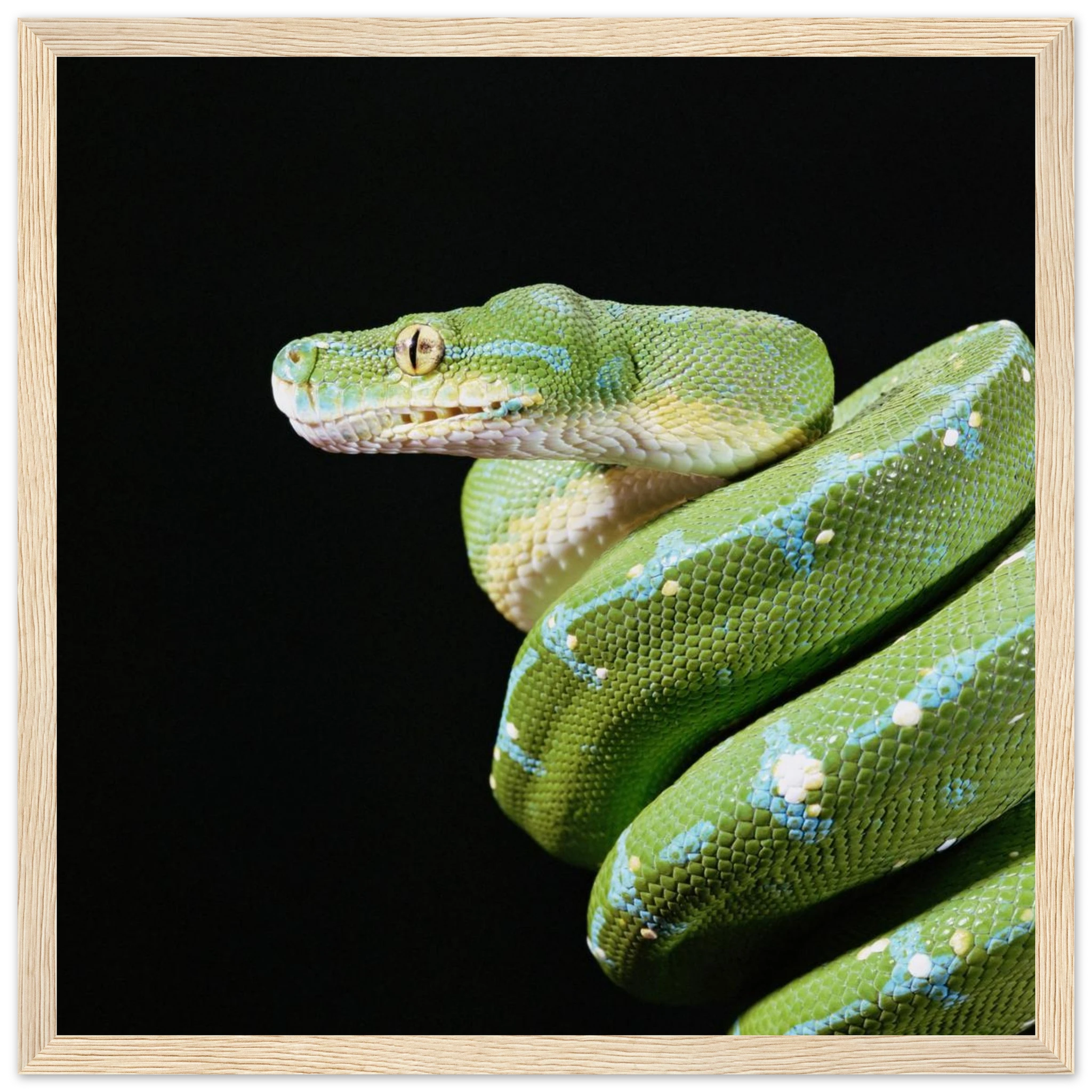 ae505294-32e4-438d-9f31-da78b322dc65