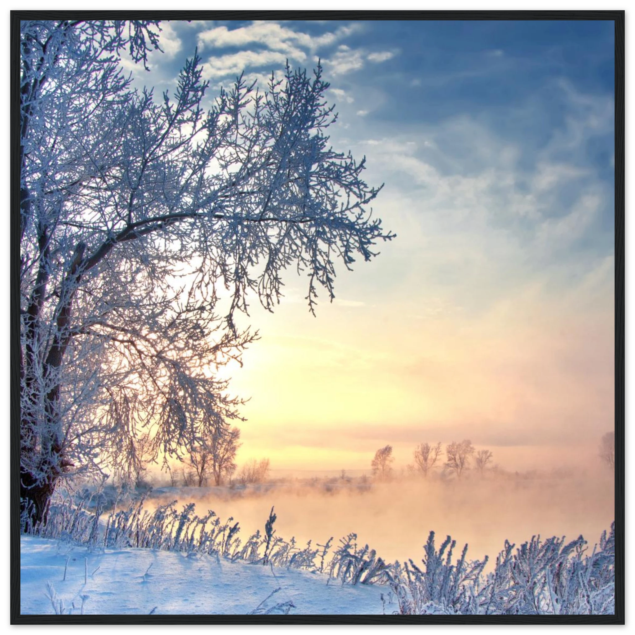 ae51425b-0e26-4097-977b-9b64afef4faf