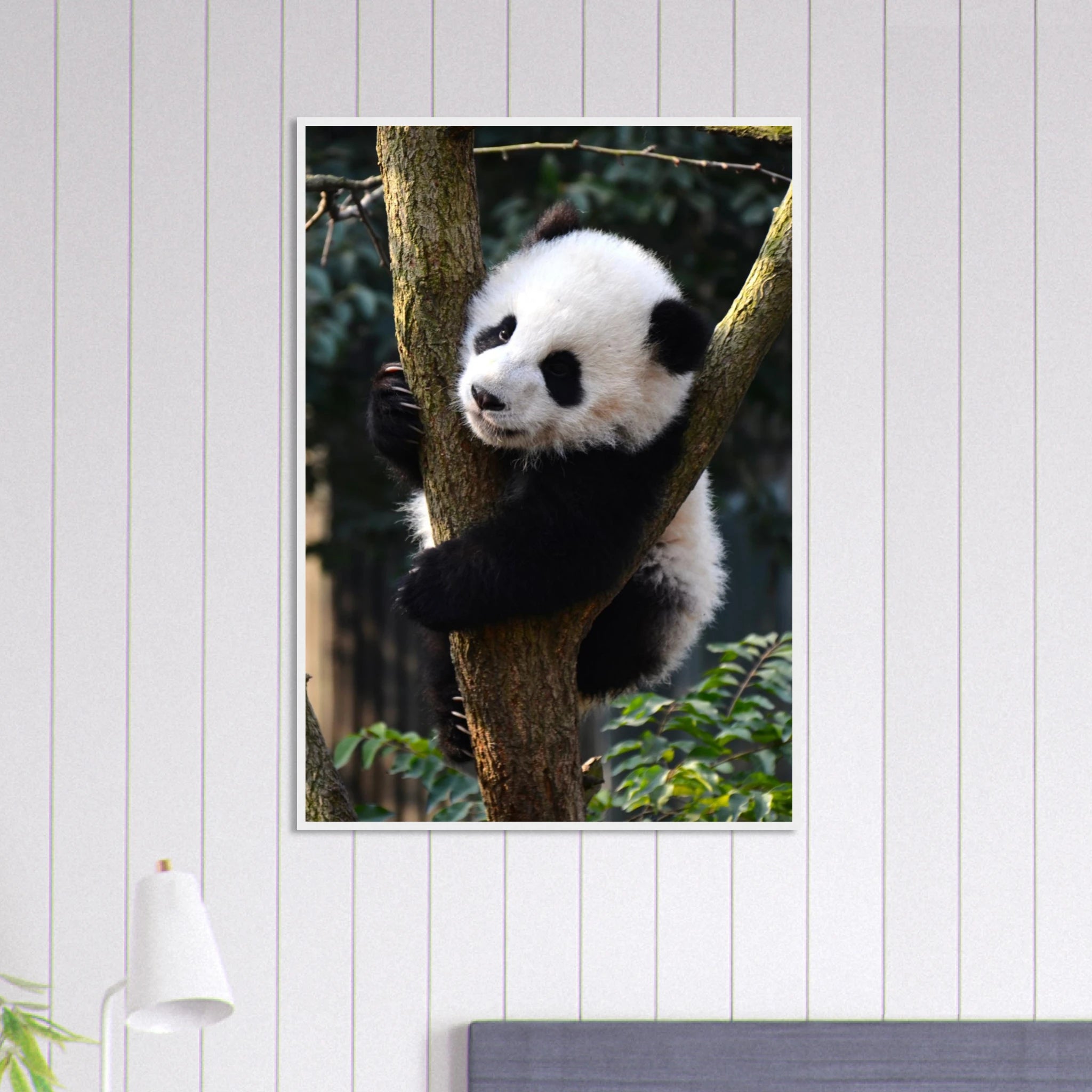 ae7b798a-e691-4e49-832b-367d5b98f555