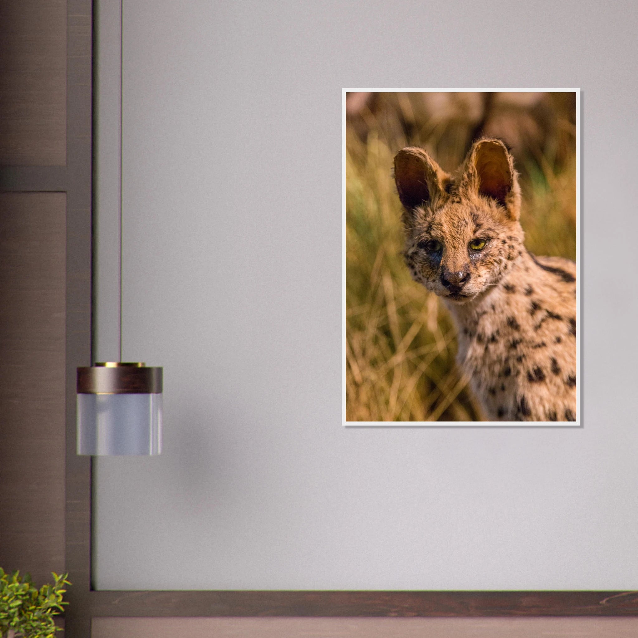 ae85574c-a2c5-40dc-b1f3-8c51e9869d60