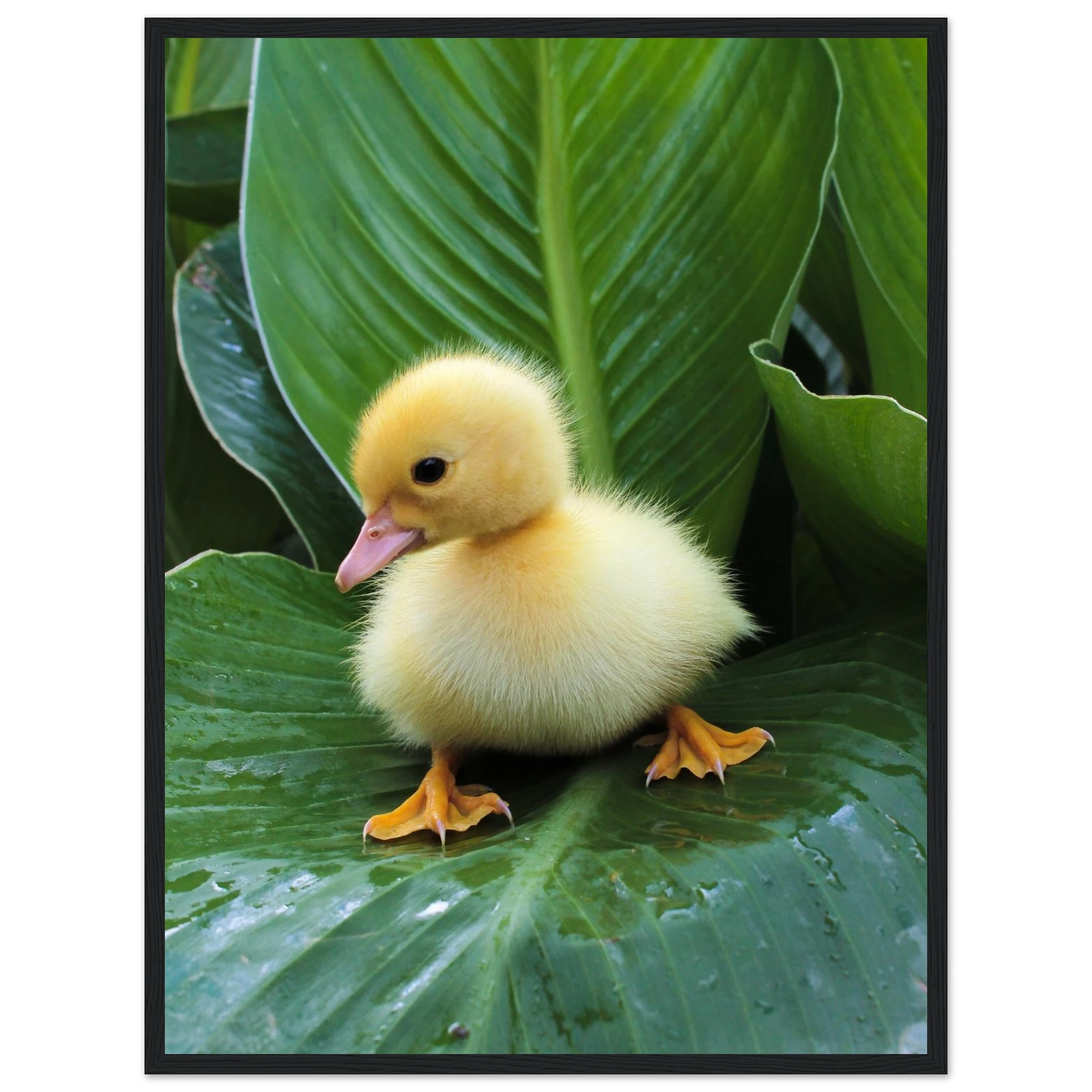 ae994df8-23dd-4bee-9e39-847db2c4ecb4