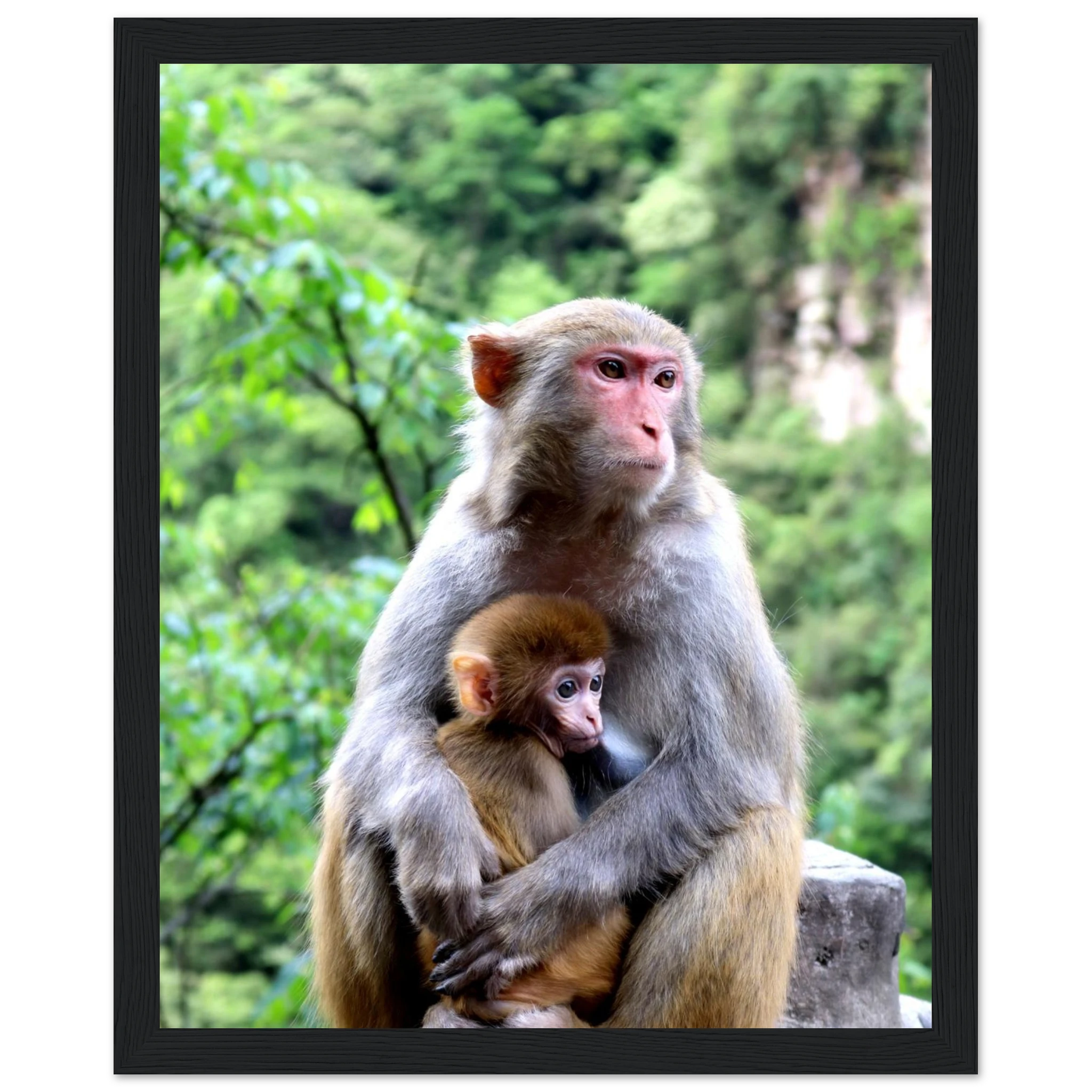 aebdd539-9cbe-4837-92d6-bb6aaf160c1a