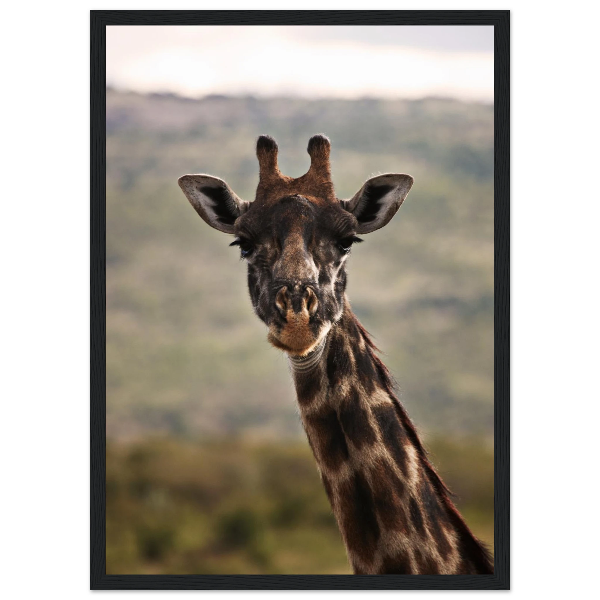 aec6d545-b1bc-40ed-9952-c9bcec2e70d6