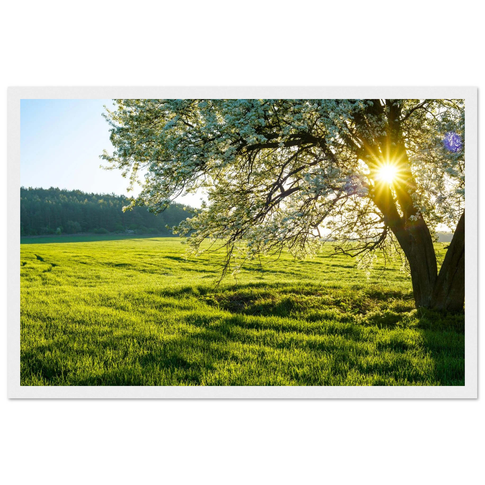 aedd2675-8a90-488d-86a4-504e75faab03