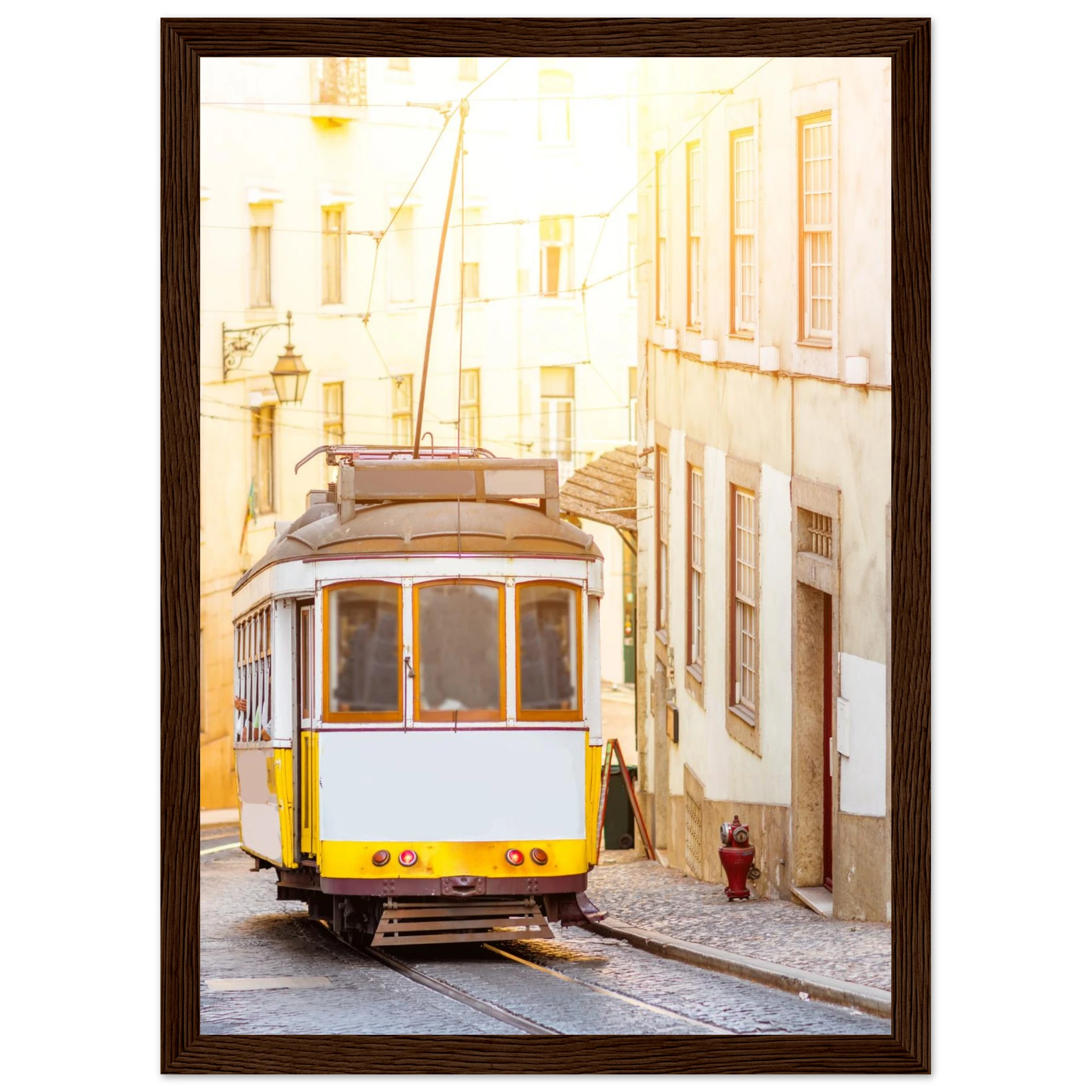 aef265f9-7543-4b48-bc4b-bdb9c83a8c4e