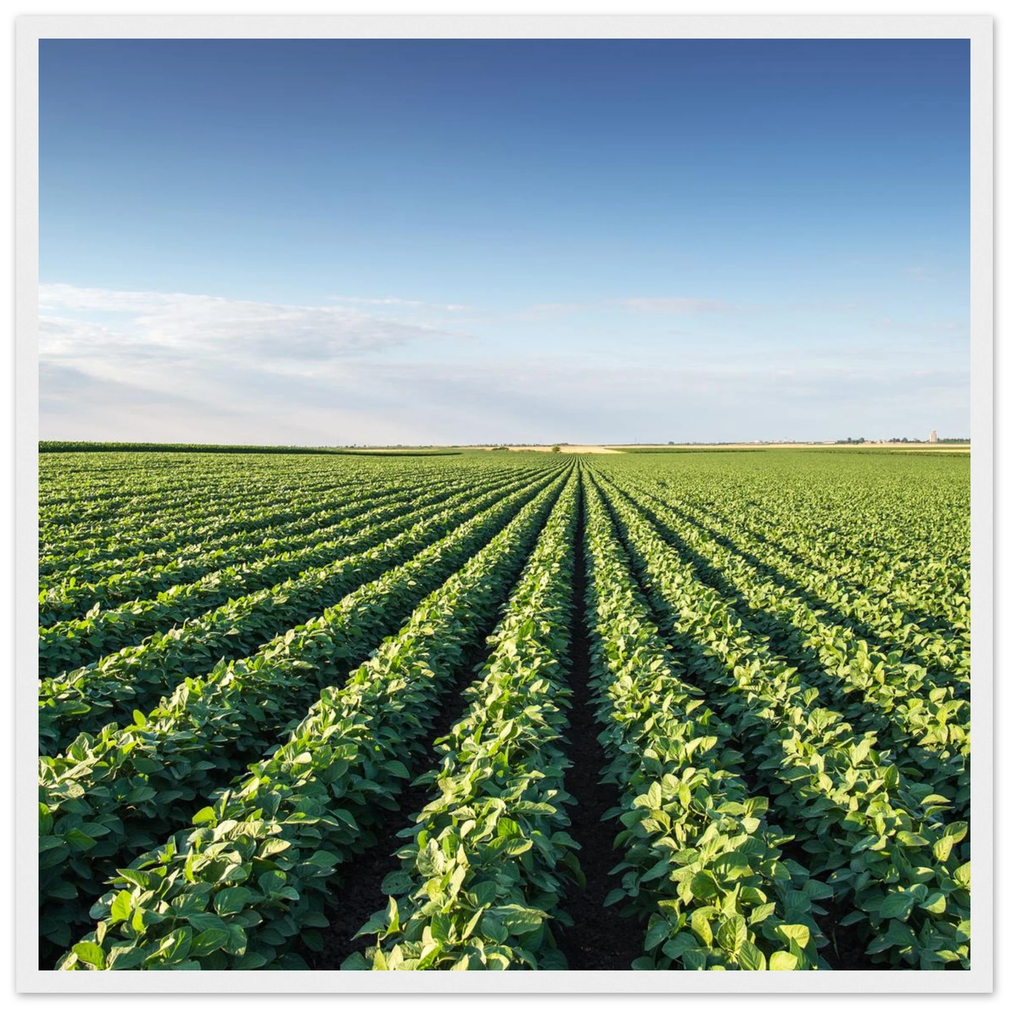 af15414c-b45e-431c-a081-2a172bb8ecfb