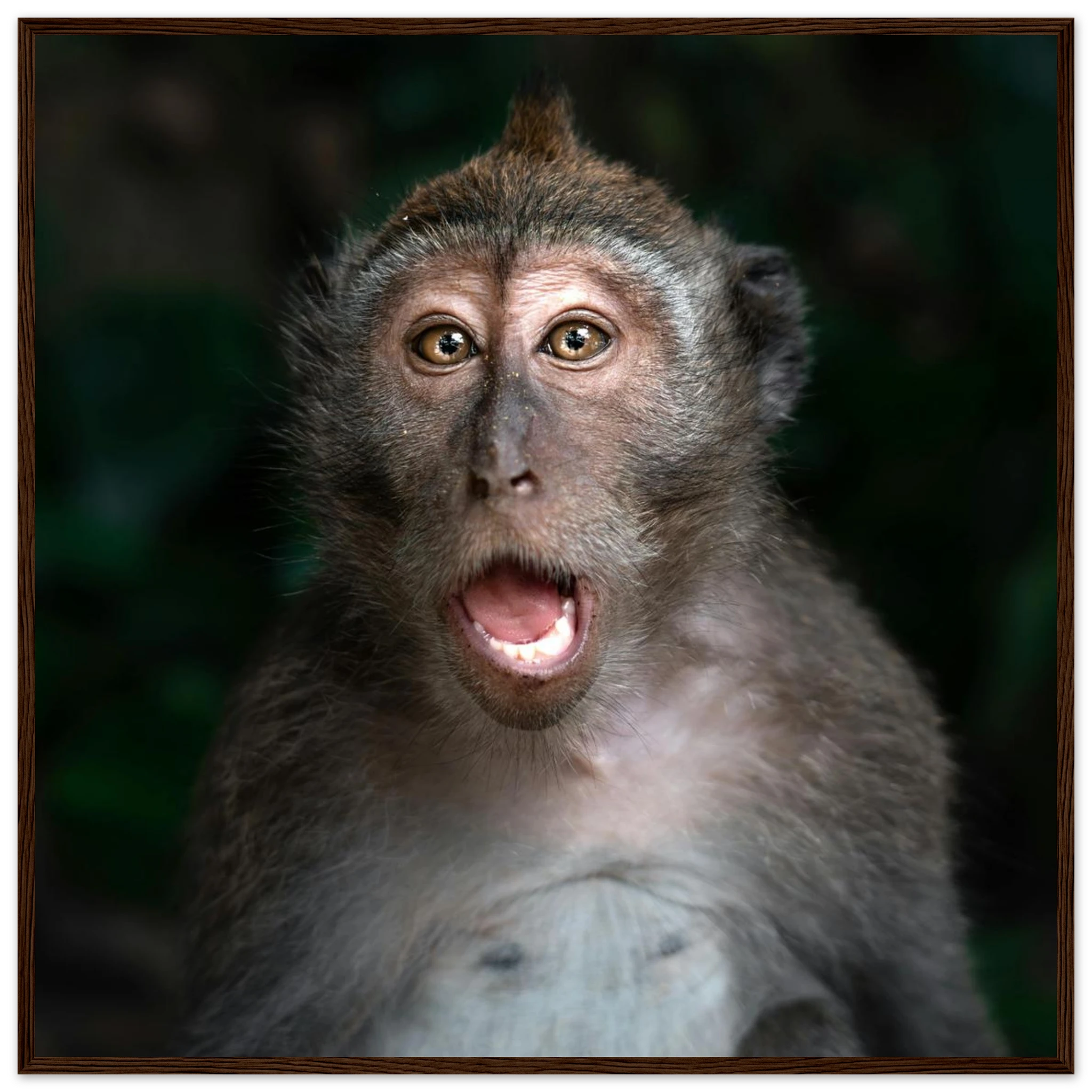 af2ee5af-ff96-4351-8242-a4c41bd3f5c9