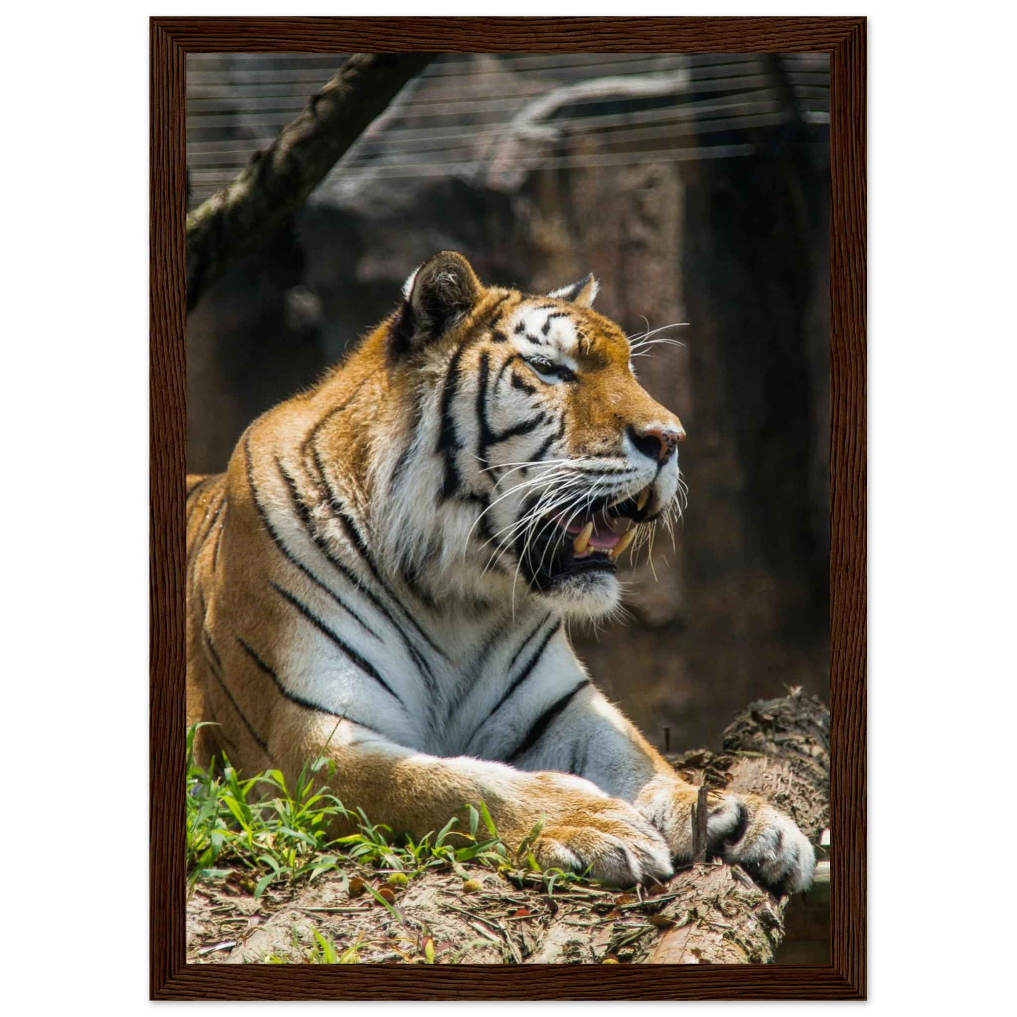 af335f98-1982-4b26-9ee3-caa4bee138f6