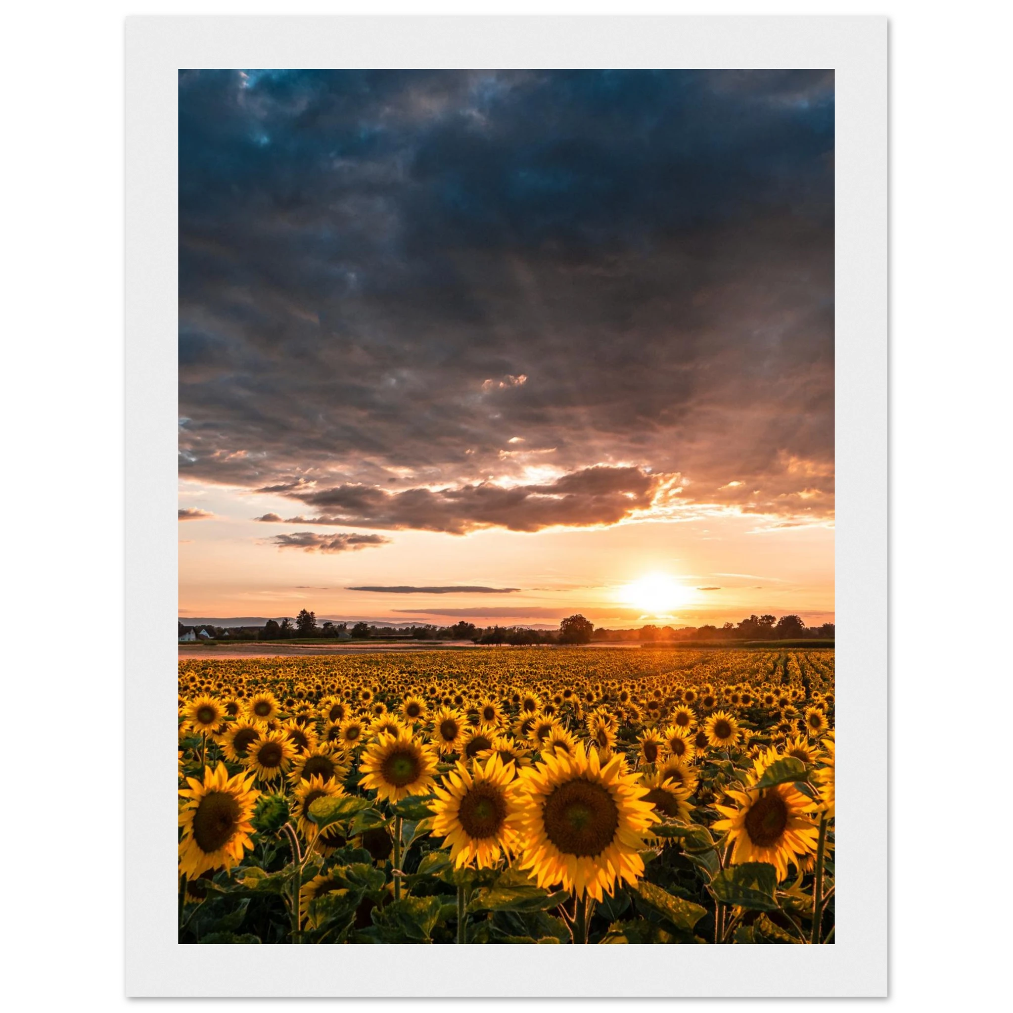 af5336a1-0a8b-4a0e-9989-e063ce8ab895