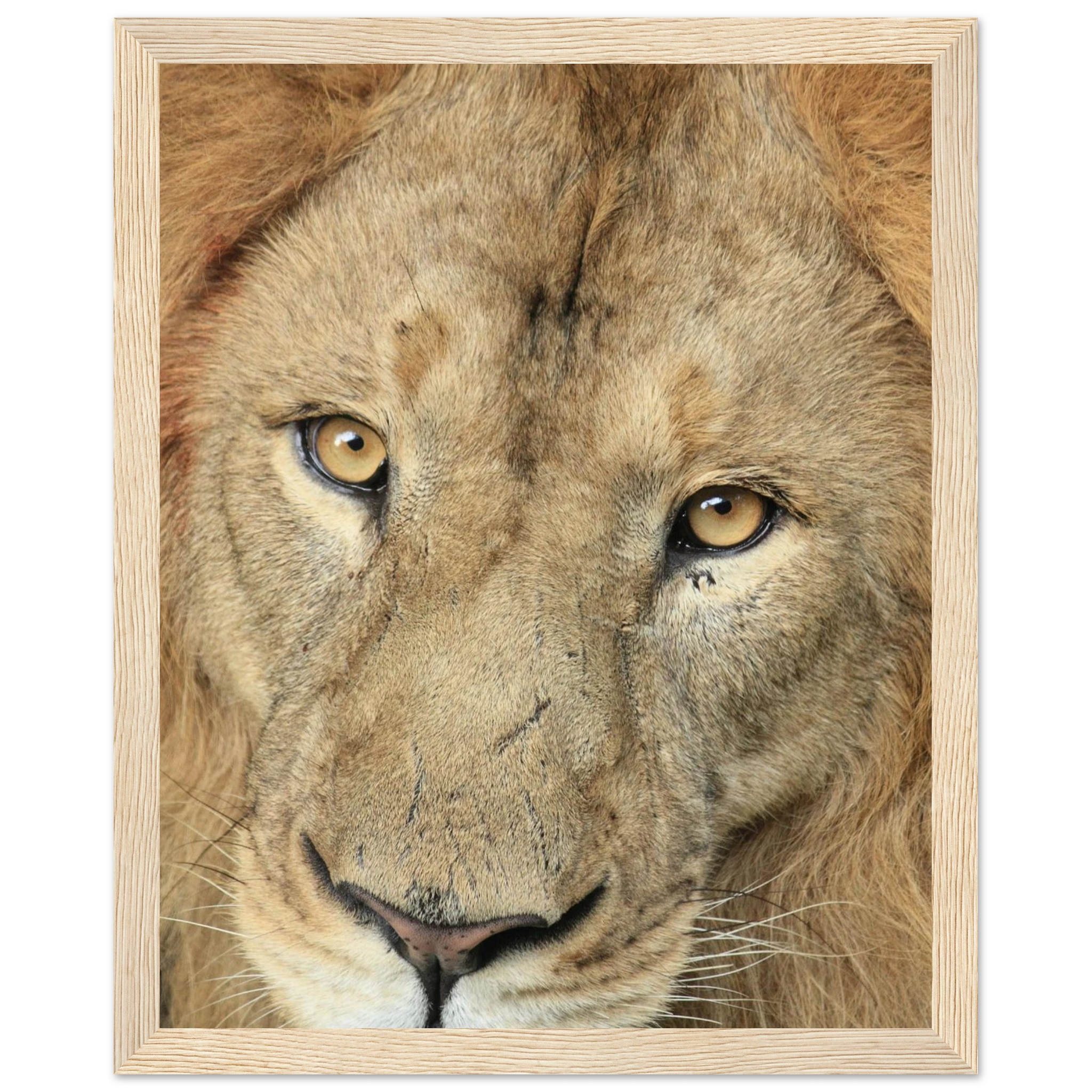 af6647df-41e3-4b1e-a6f9-bdea201ad72e