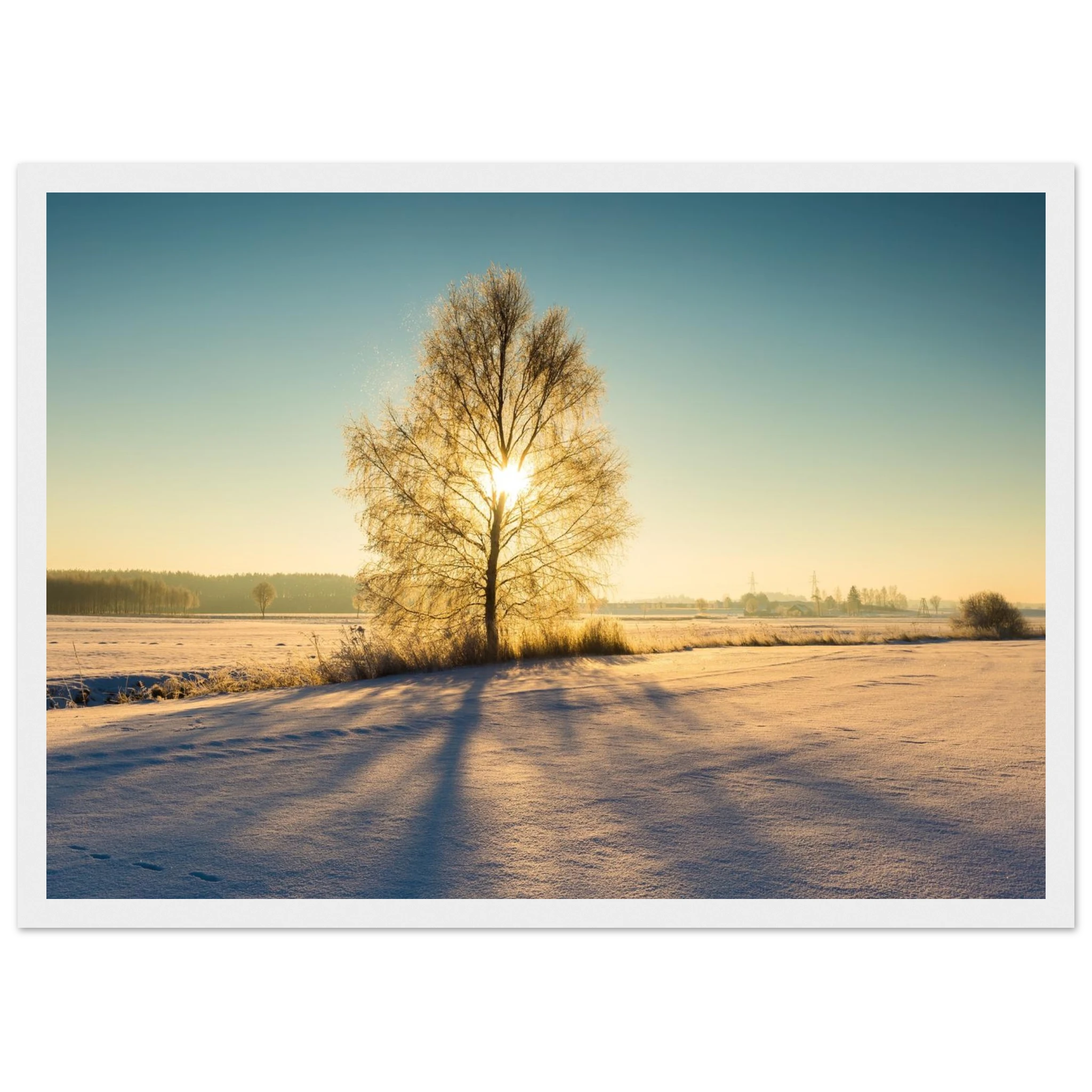 af75a4b3-0e59-4c3c-a677-06e46b74586c