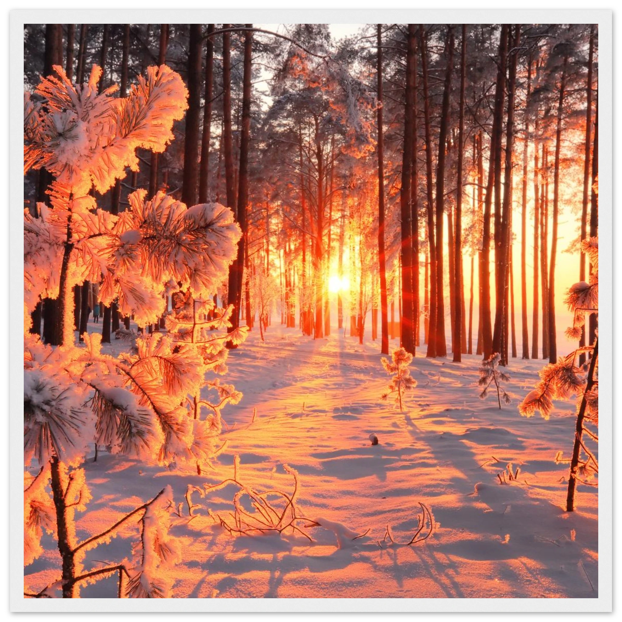 af7b02ca-3b8d-457b-ba40-261376eb9073