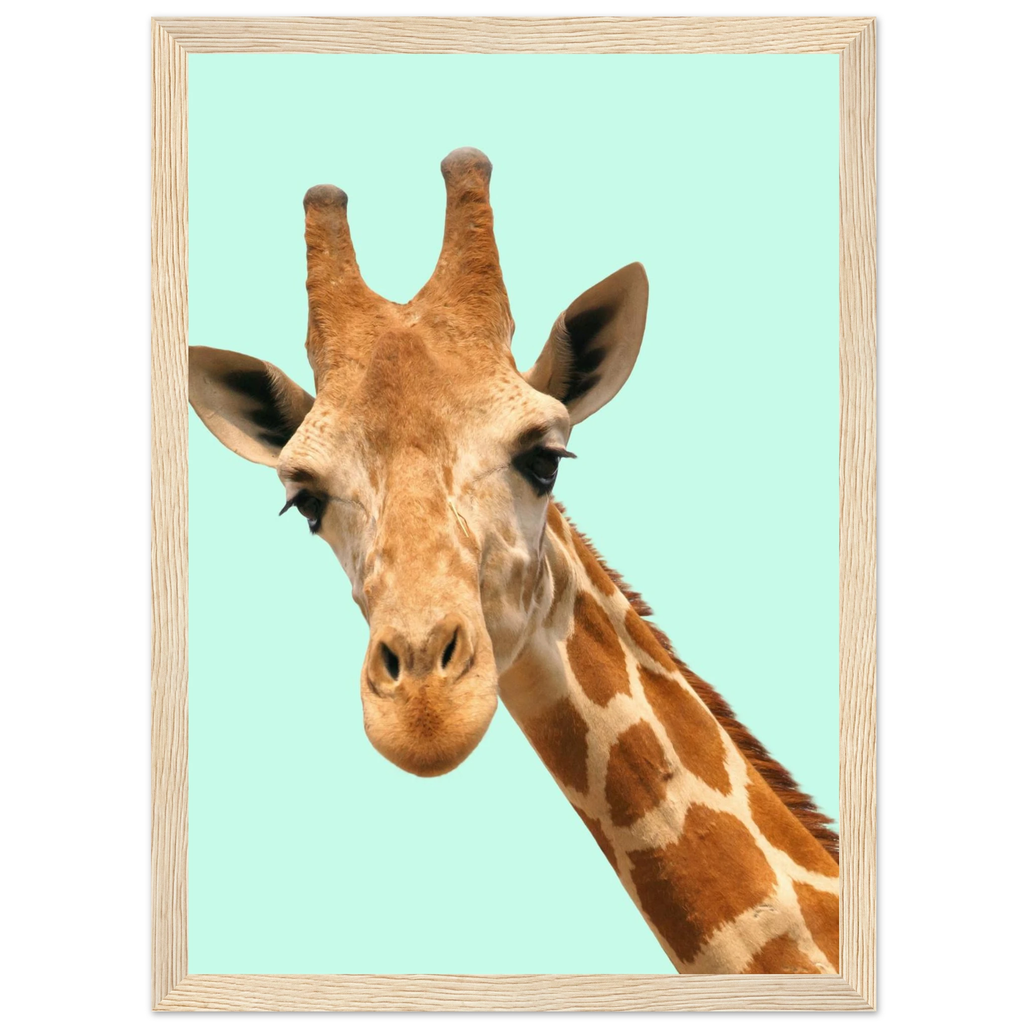 af8dd6bc-cf2e-4201-9d12-d83b853effc5