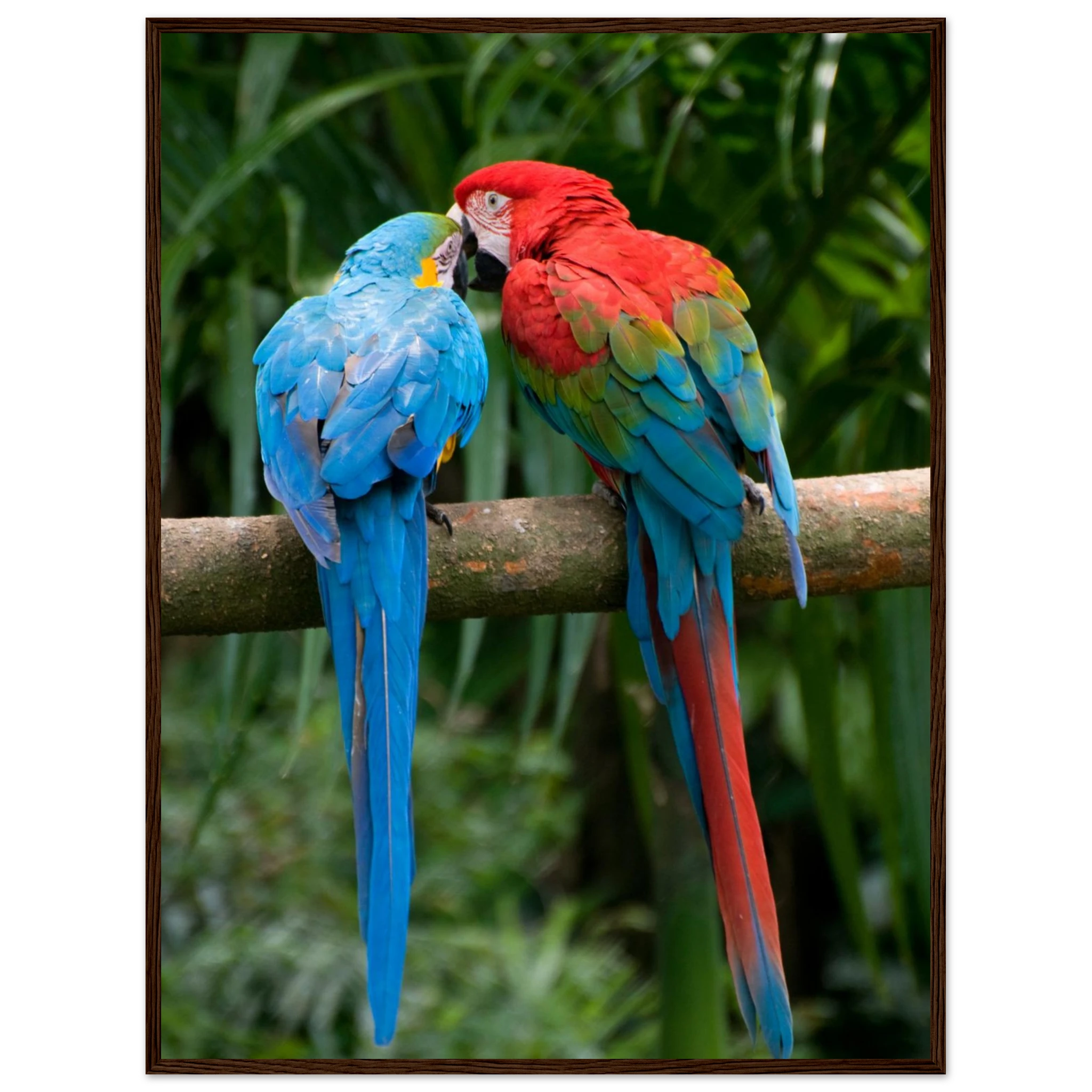 af944349-c9dc-4b58-8ecb-b0dd14d2383d