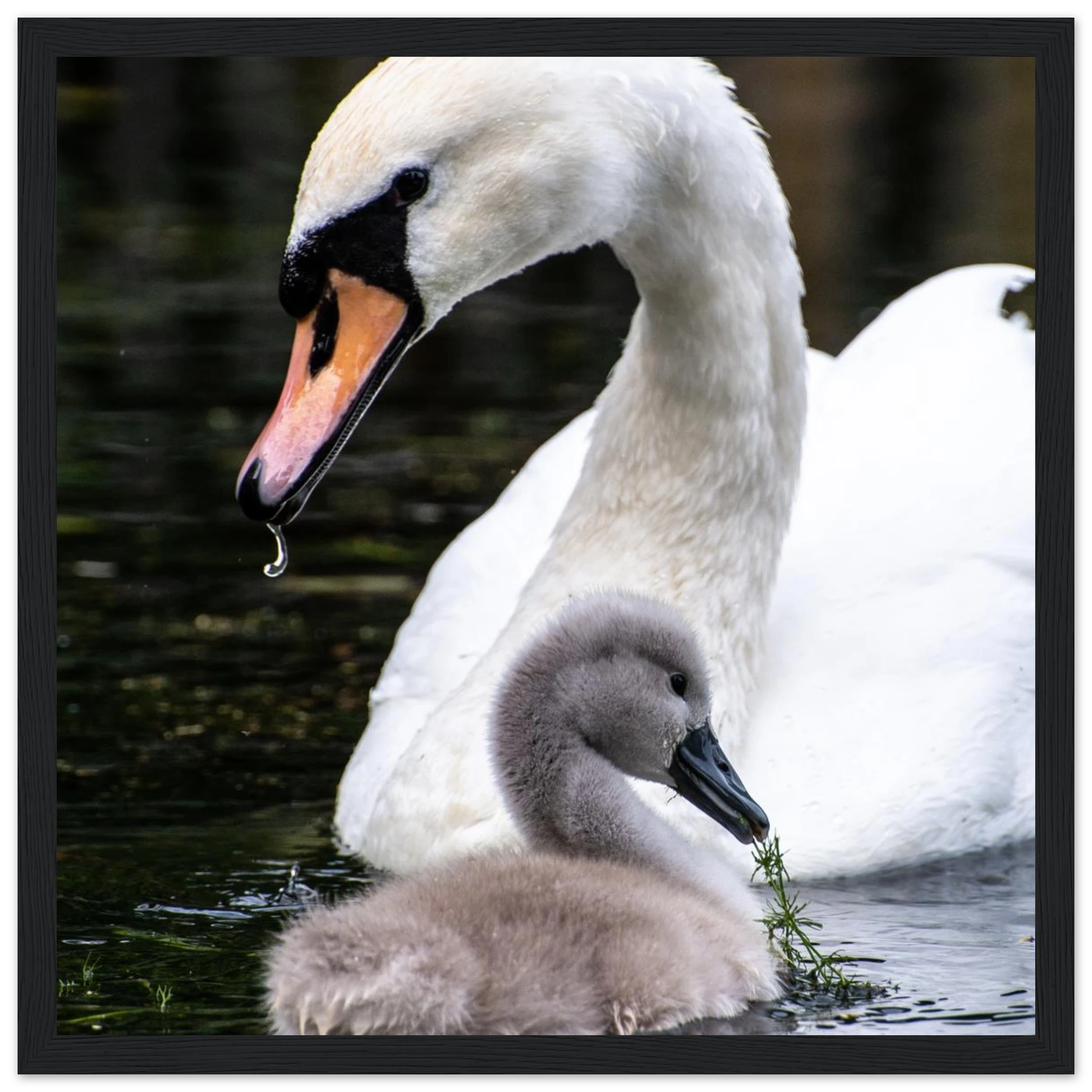 afa6158f-1ed2-40de-969d-e1a42fbaa63a