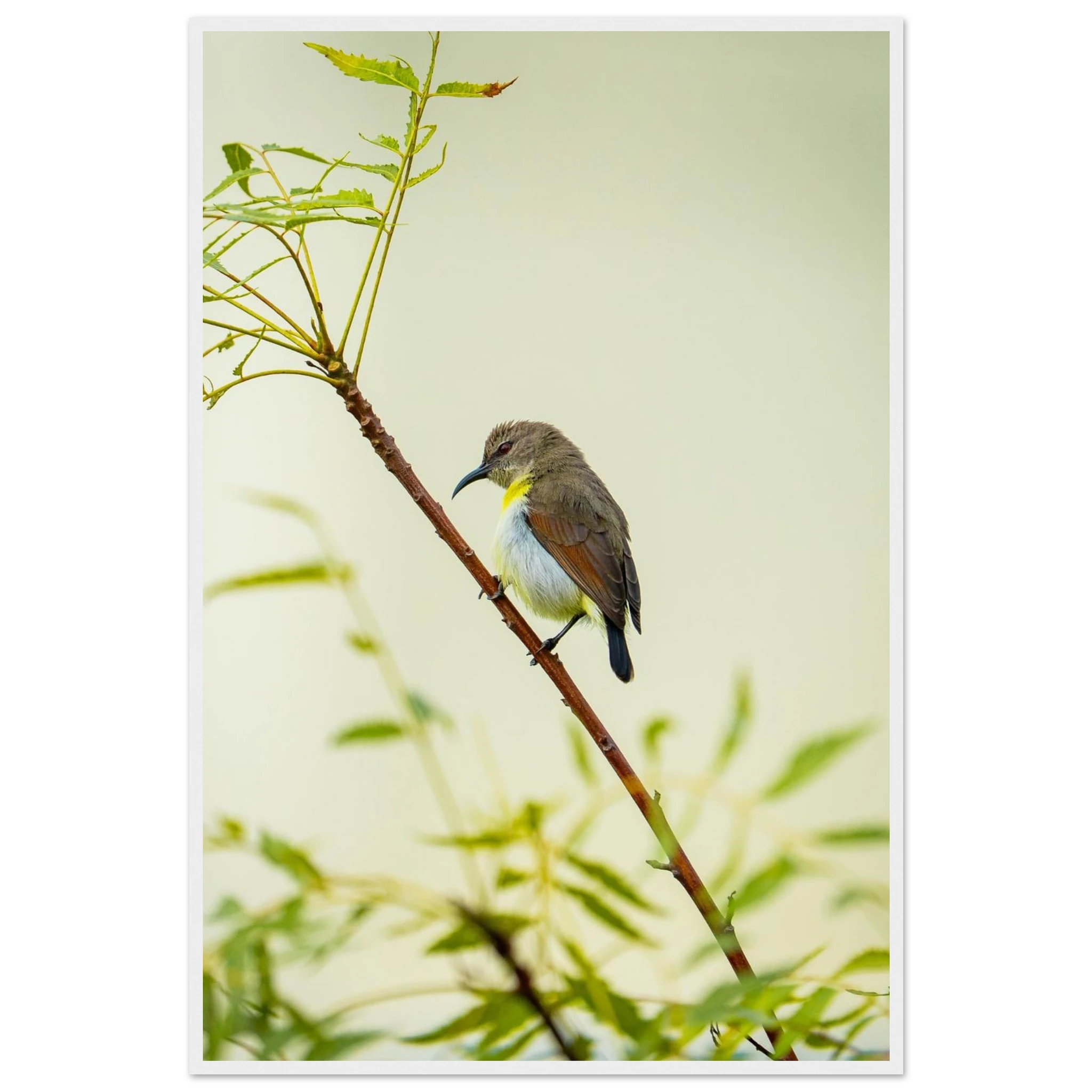 afd018db-ca0e-4543-9c63-7c04e9399a77