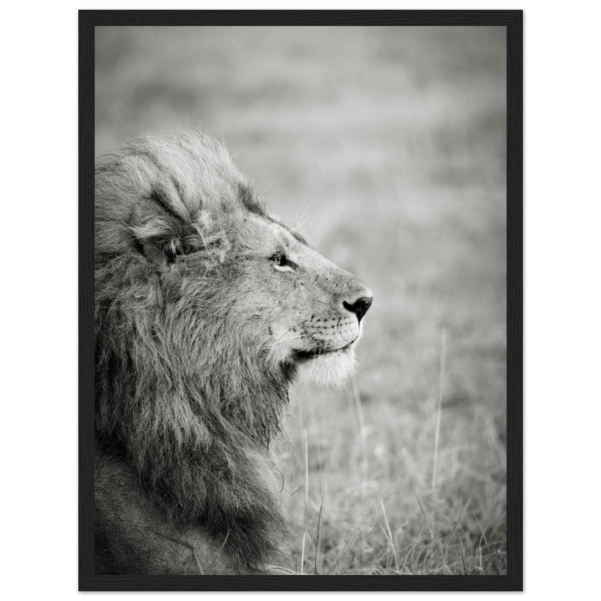 afd86b59-0a4a-408a-b849-b9b03fbb33ac