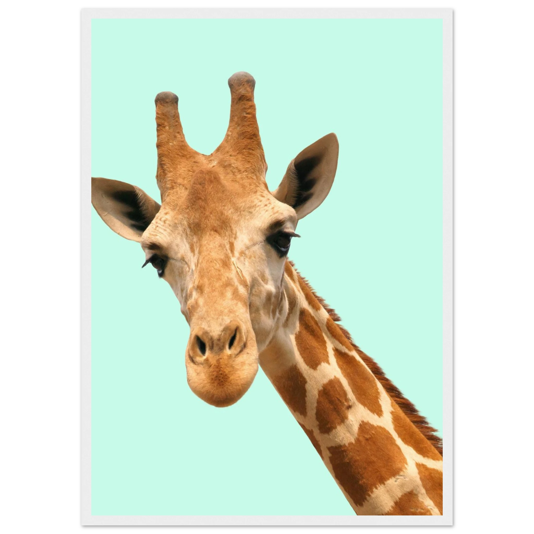 afdafdda-8aa1-4036-ab7a-2bb7279c154d