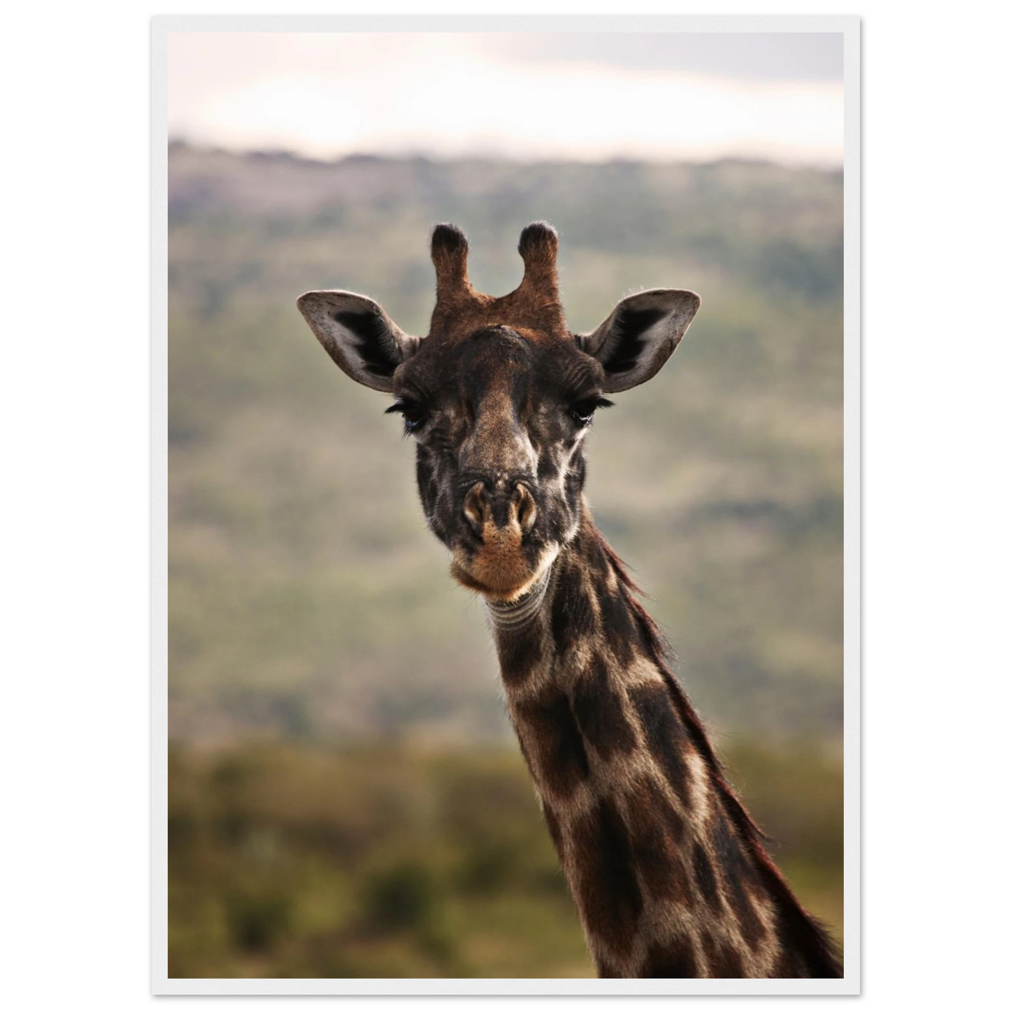 aff0ee71-a2a3-44a9-8606-aab008500091