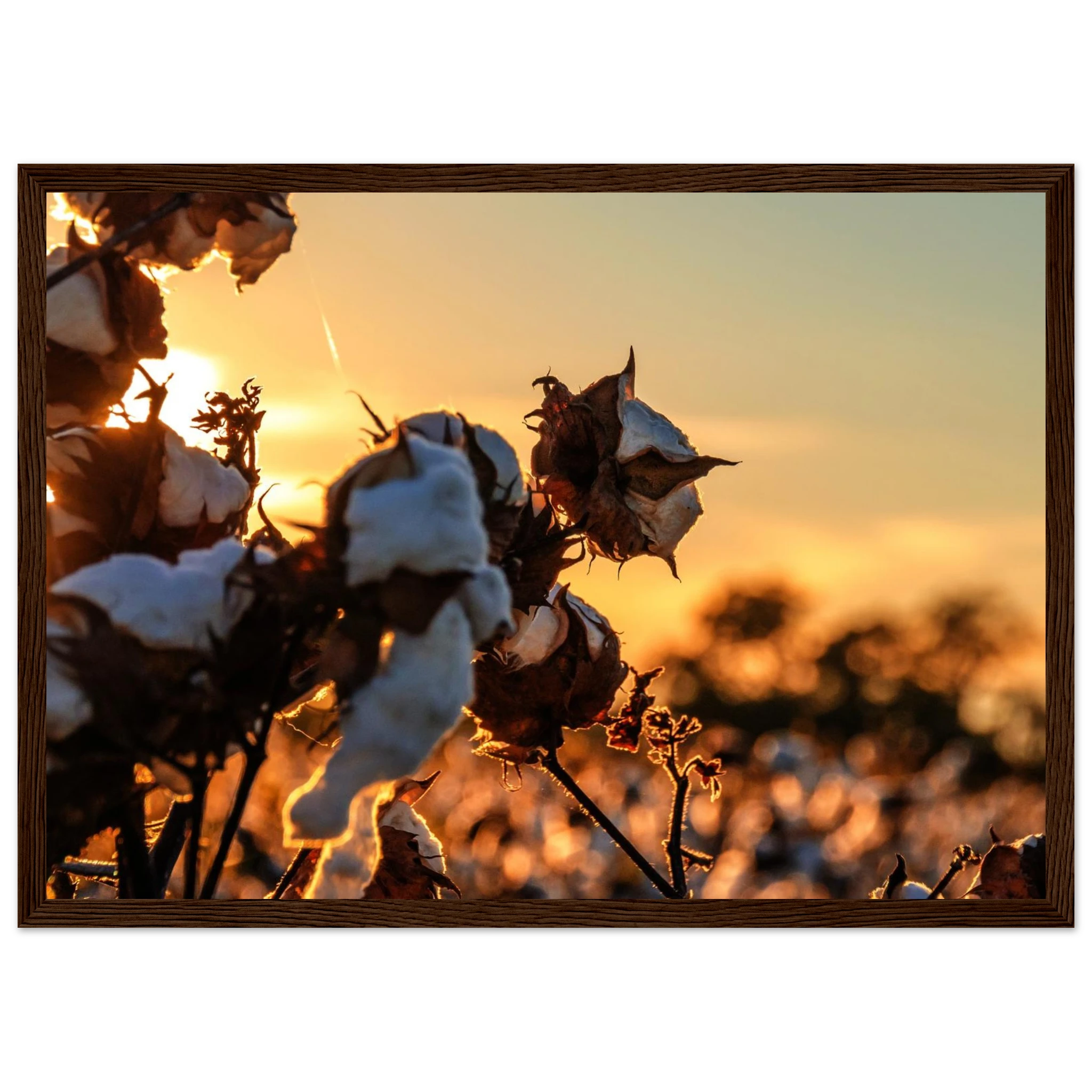 aff227f3-cde5-4e4f-865b-bf3217a3ef4c