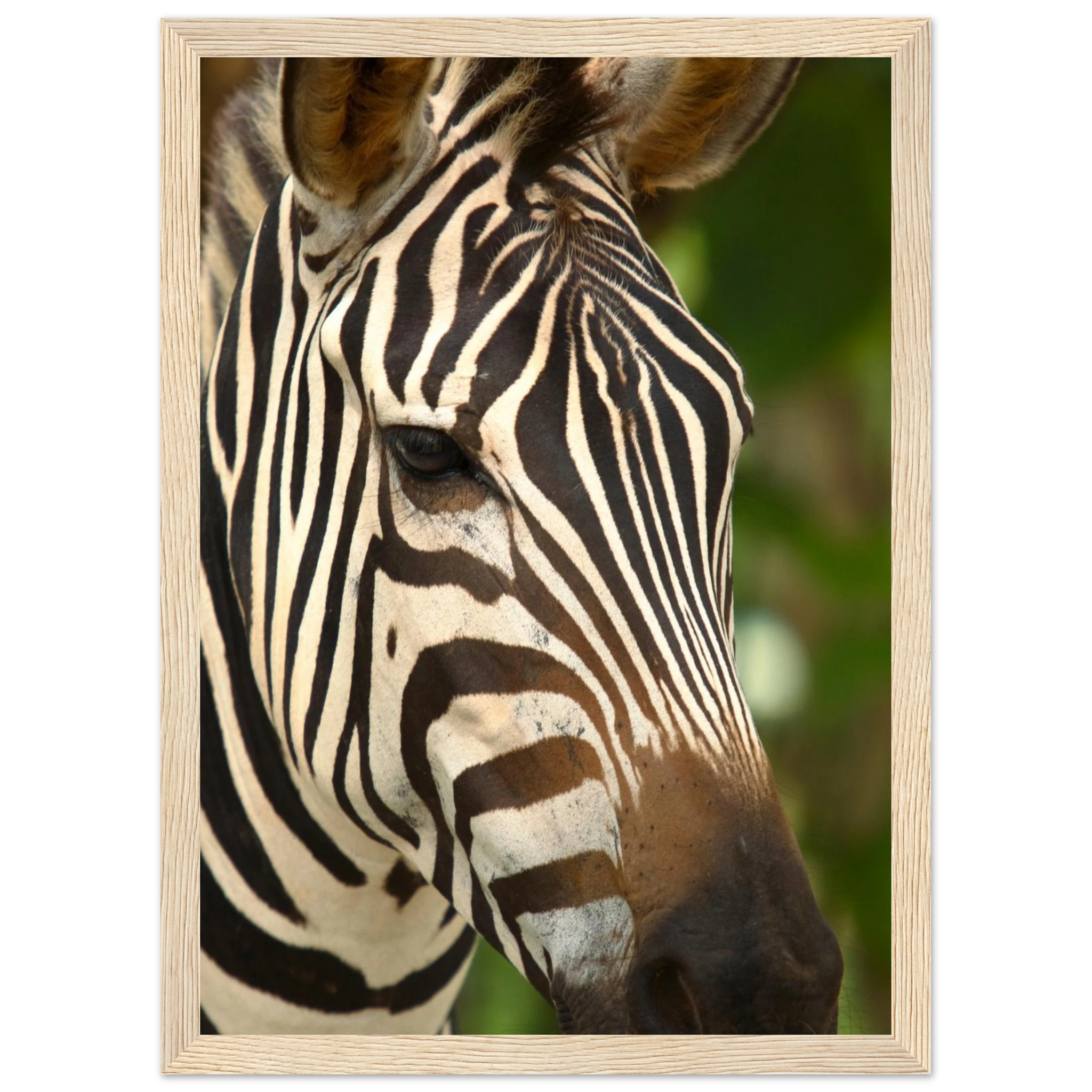 aff901d7-373b-4dfb-8839-5172a6a39dd3