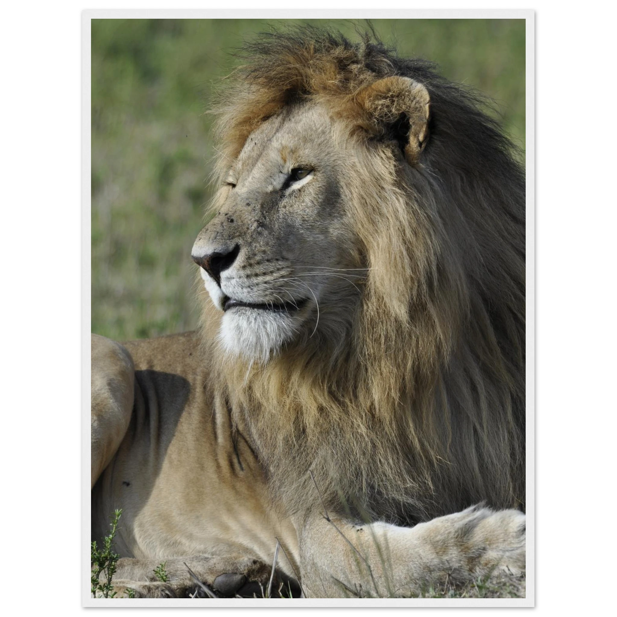 b00a573d-0100-469d-97dc-0d7bf615a236