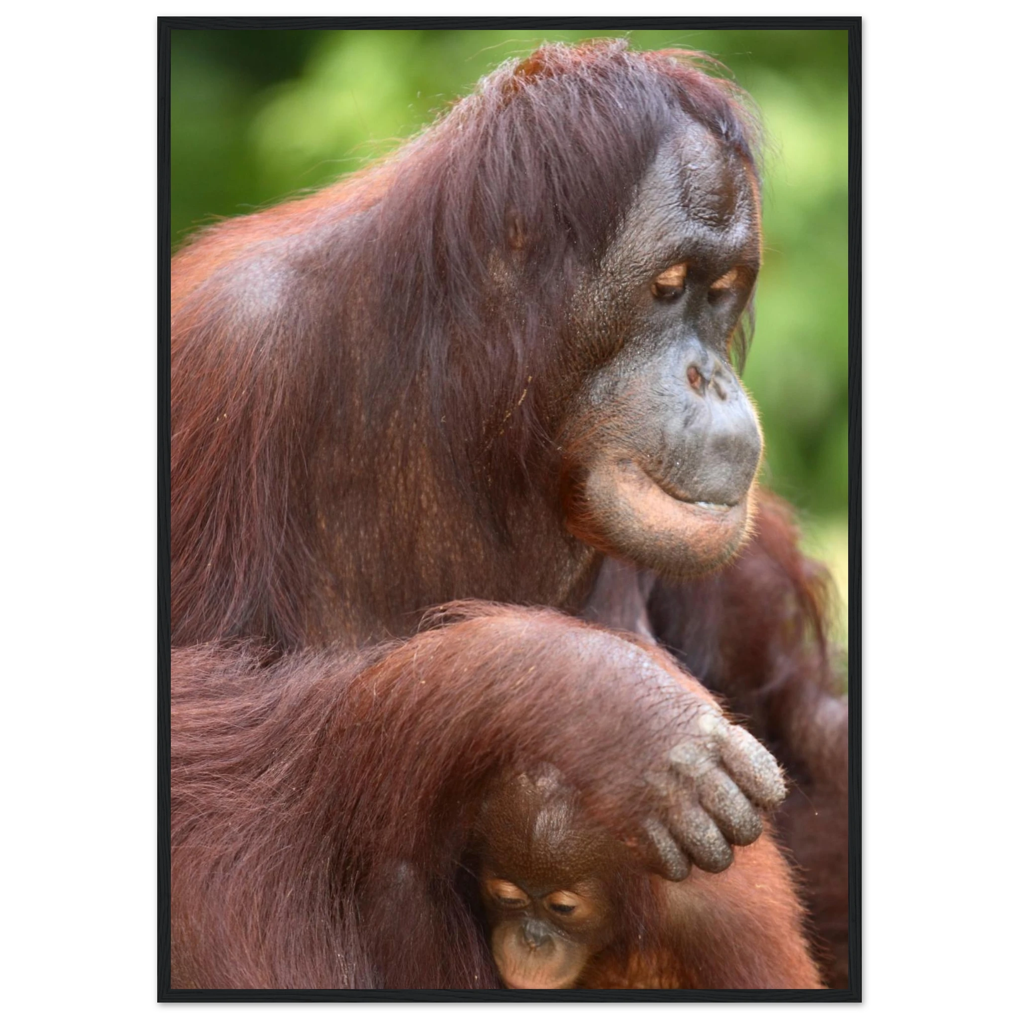 b00dd670-6327-47f5-a4d4-f7a3ab753031