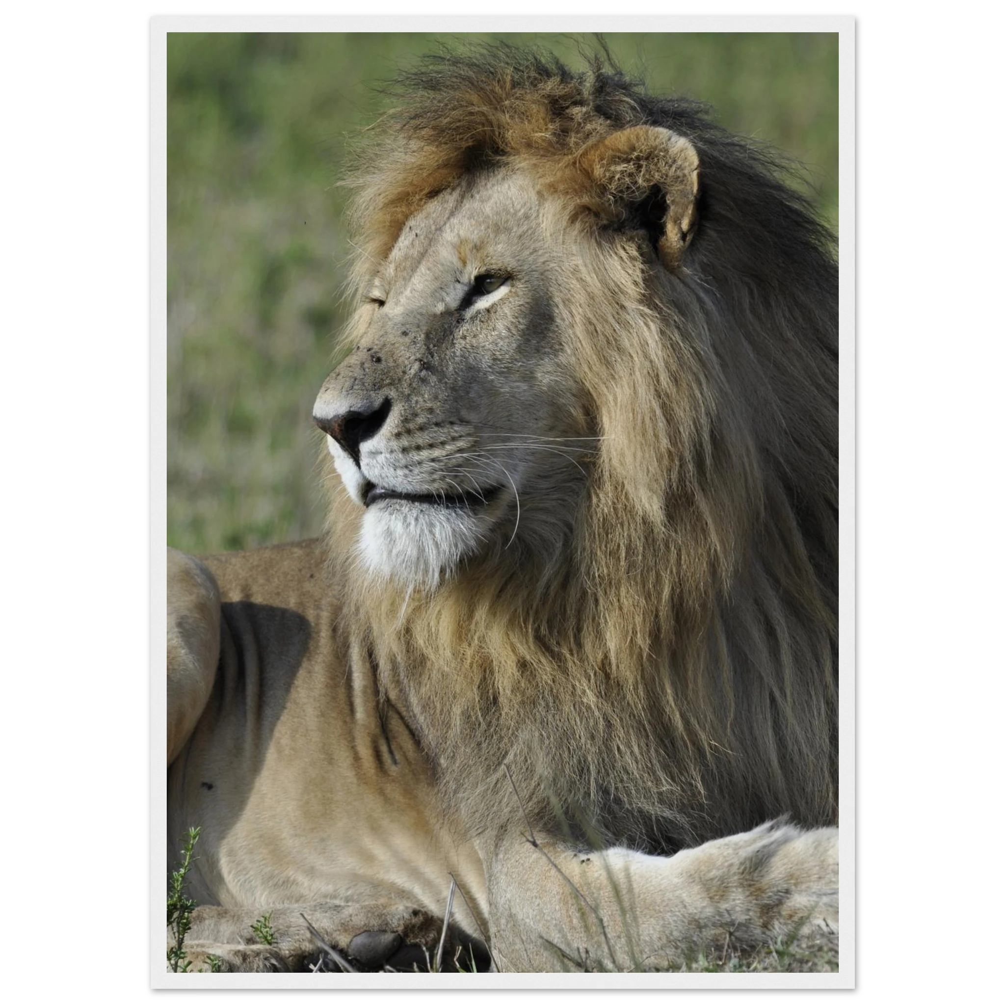 b0213c36-7fb7-4106-9346-99581f5a53f7