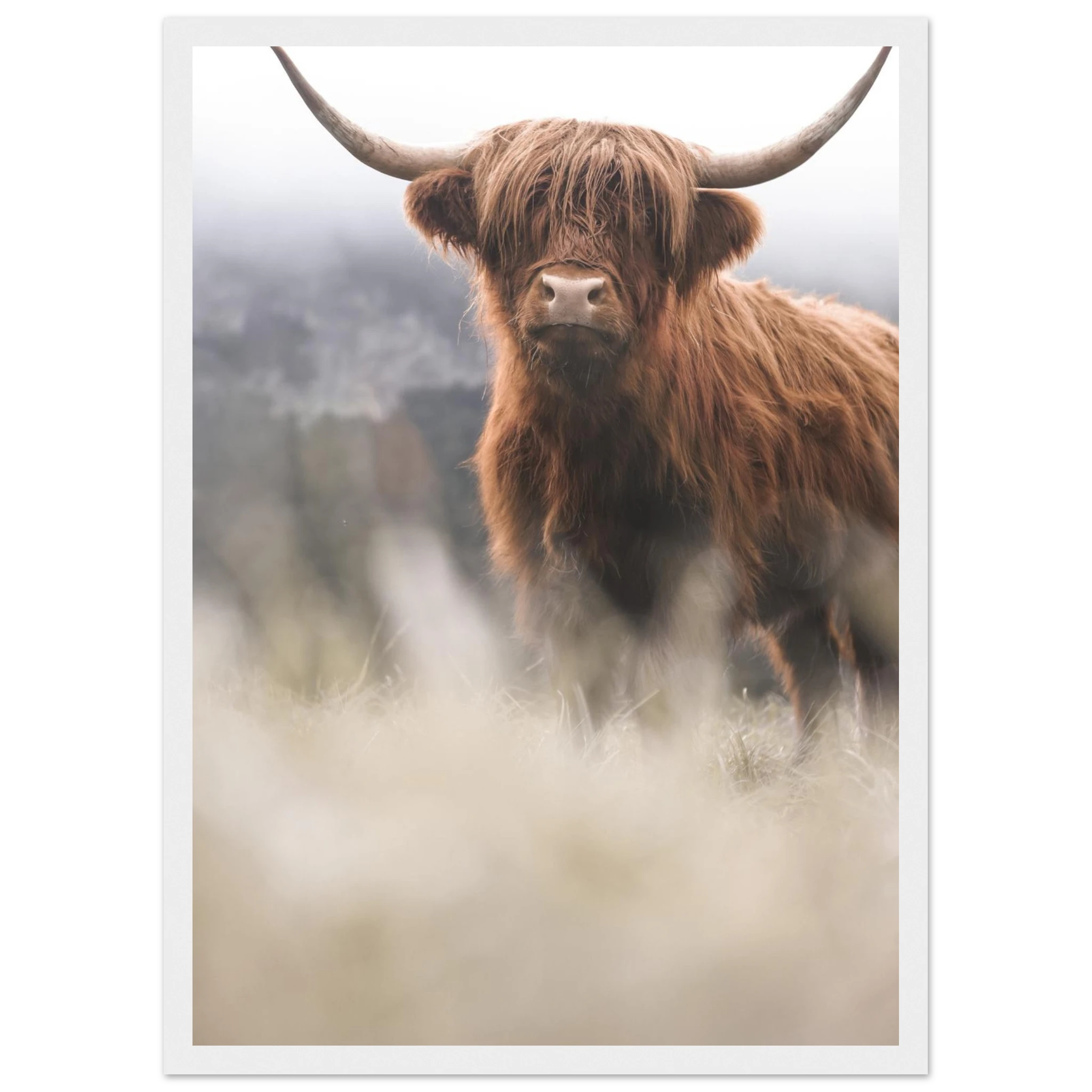 b040ce64-bd1e-43a9-84ab-a754759ba2c5