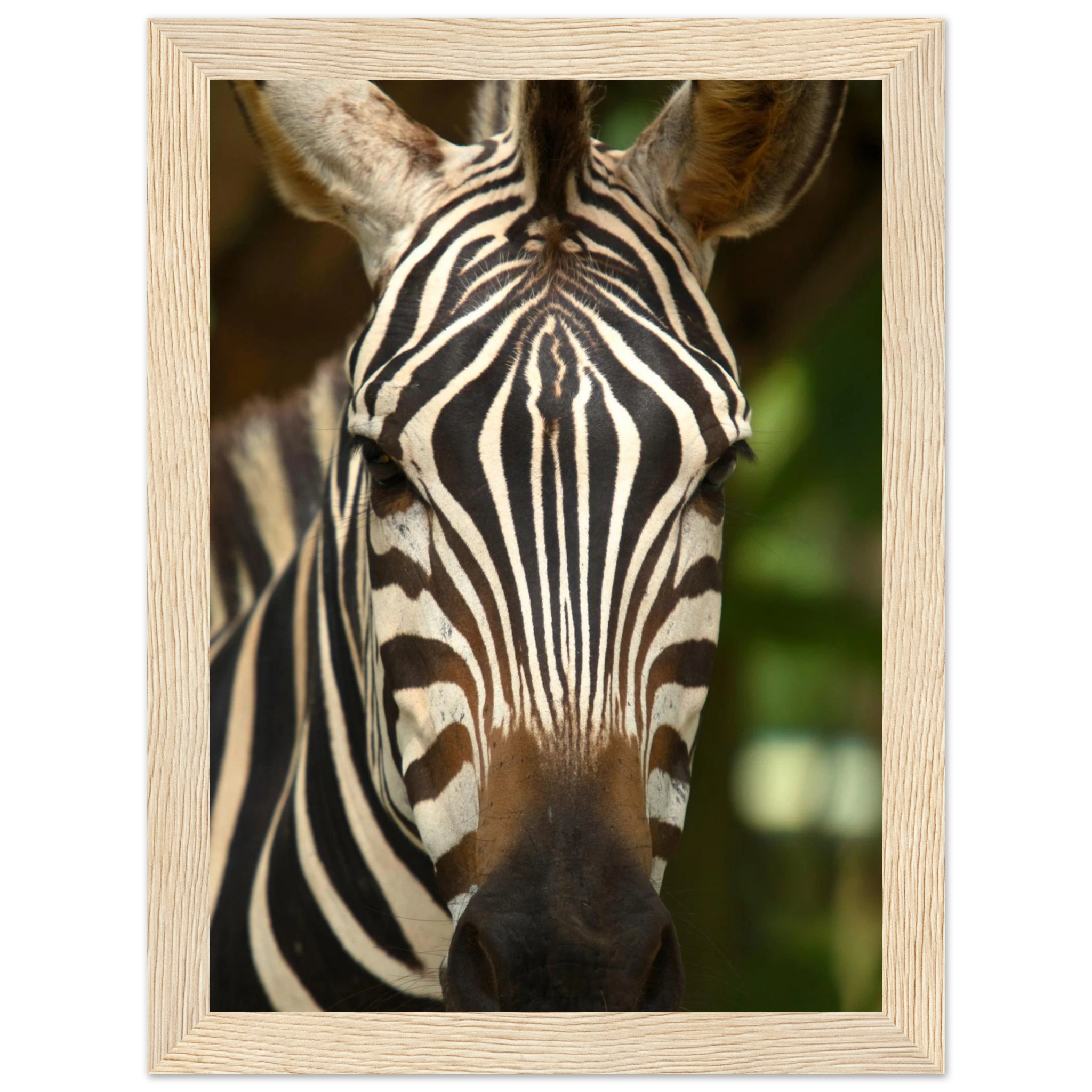 b052f2c9-b59c-4d6d-8176-ce8545f1012f