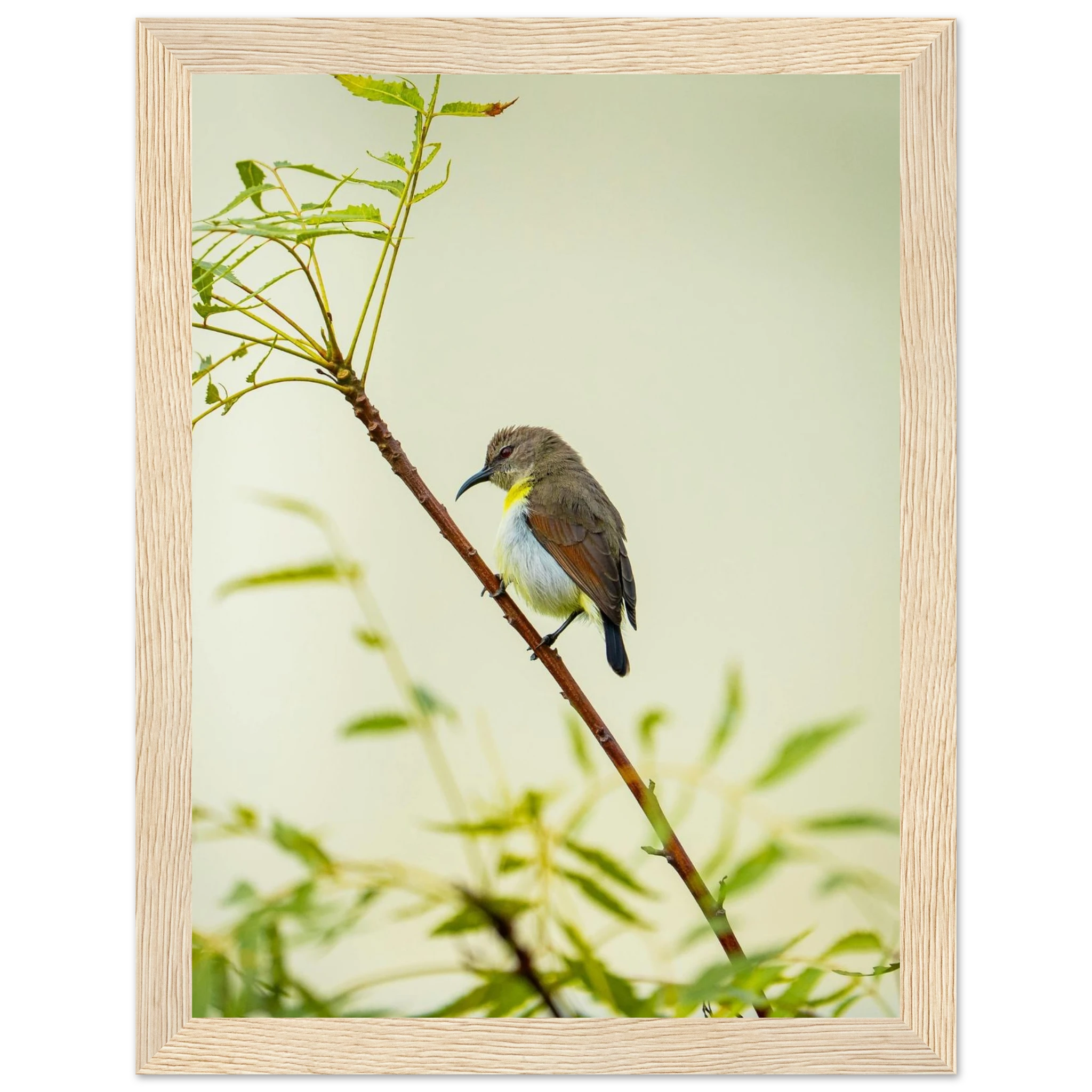 b06387a9-08bf-433e-b3a4-31ea0562903b