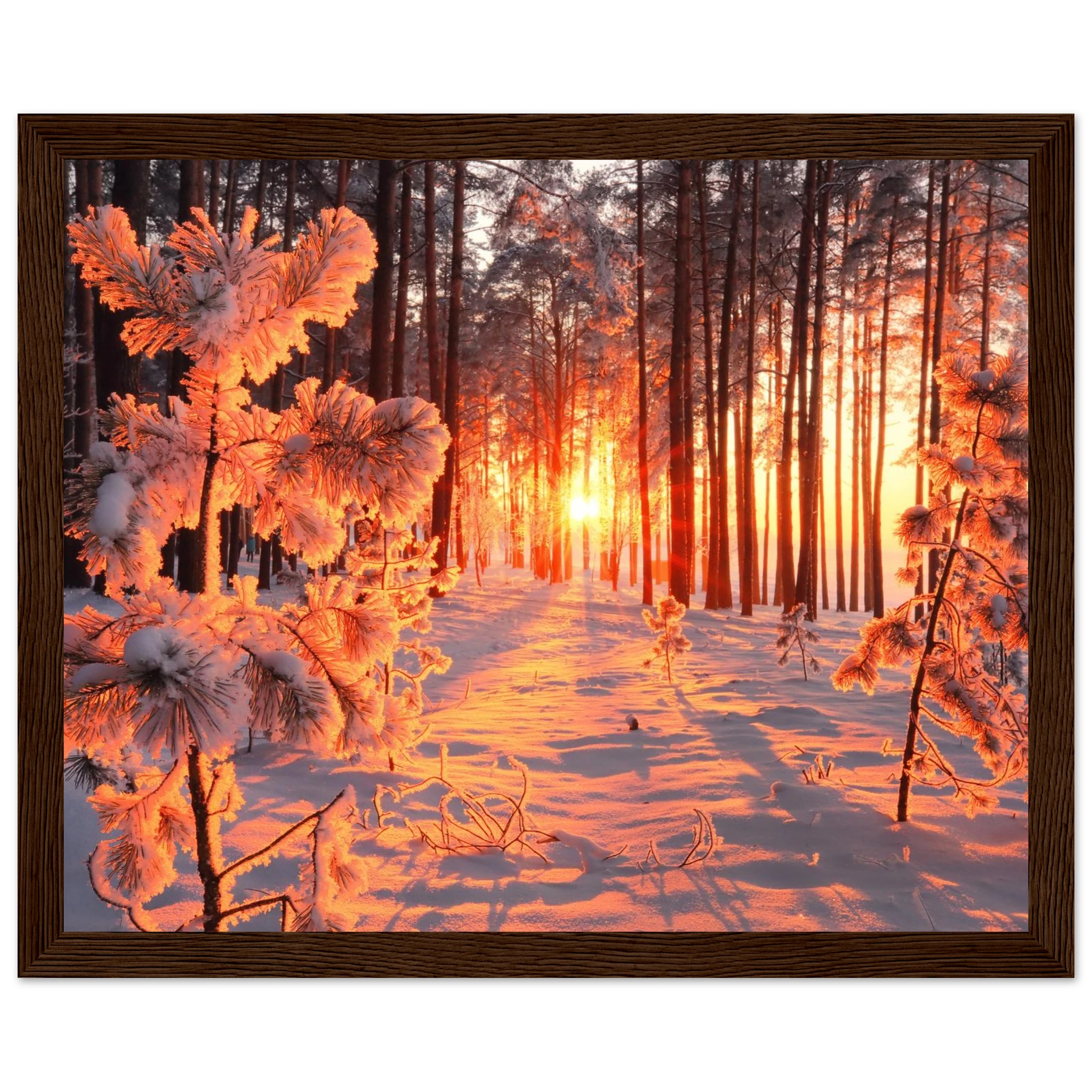 b06b307c-673e-42d8-adc3-7c053086eff6