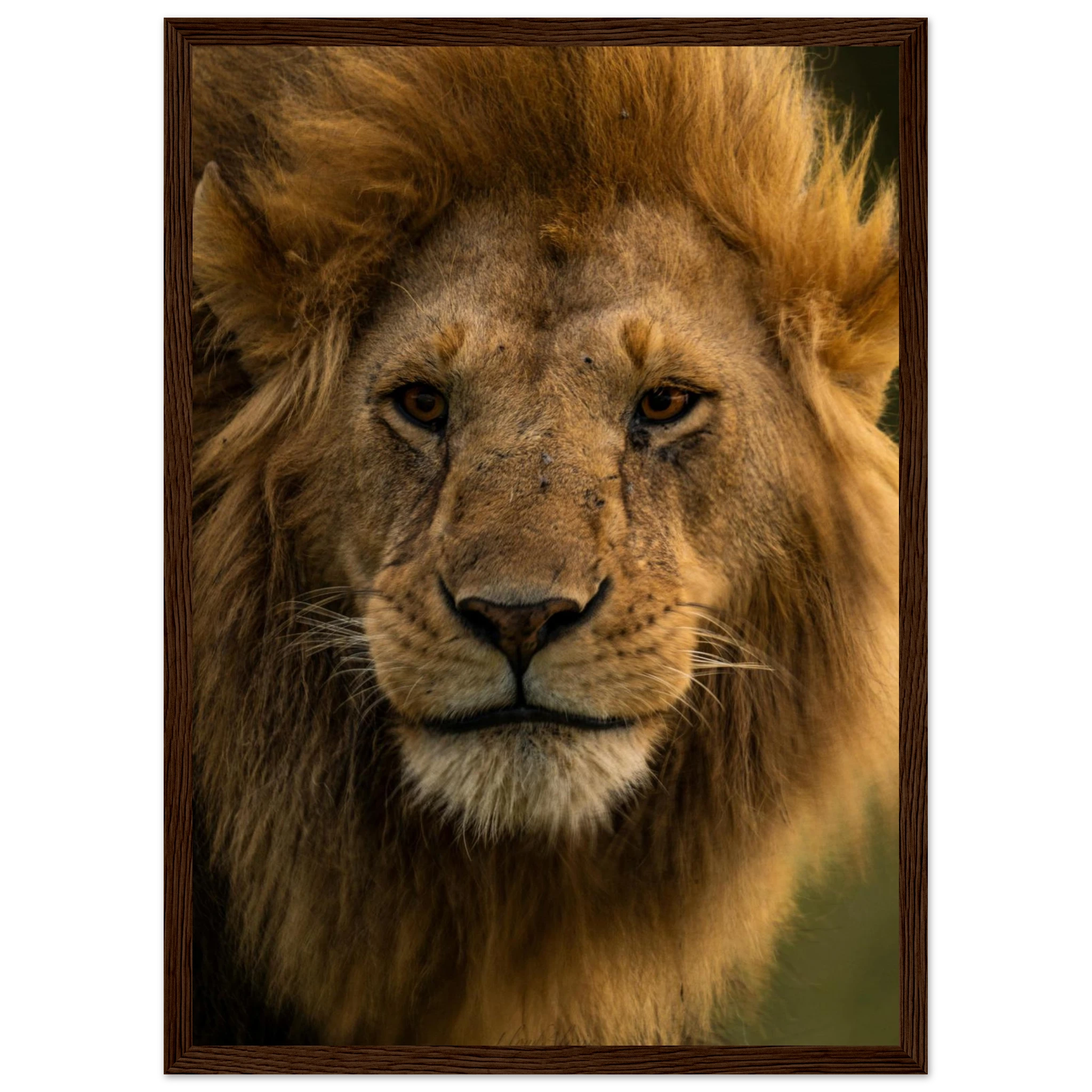 b070c9af-8de0-40f1-acd8-6f33d1f9ca3c