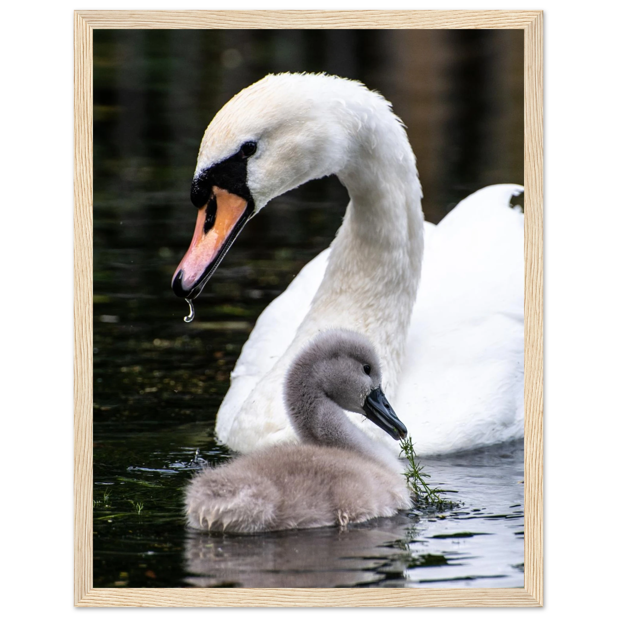 b08475c6-7b7d-42d9-97be-9143a61c3cd9